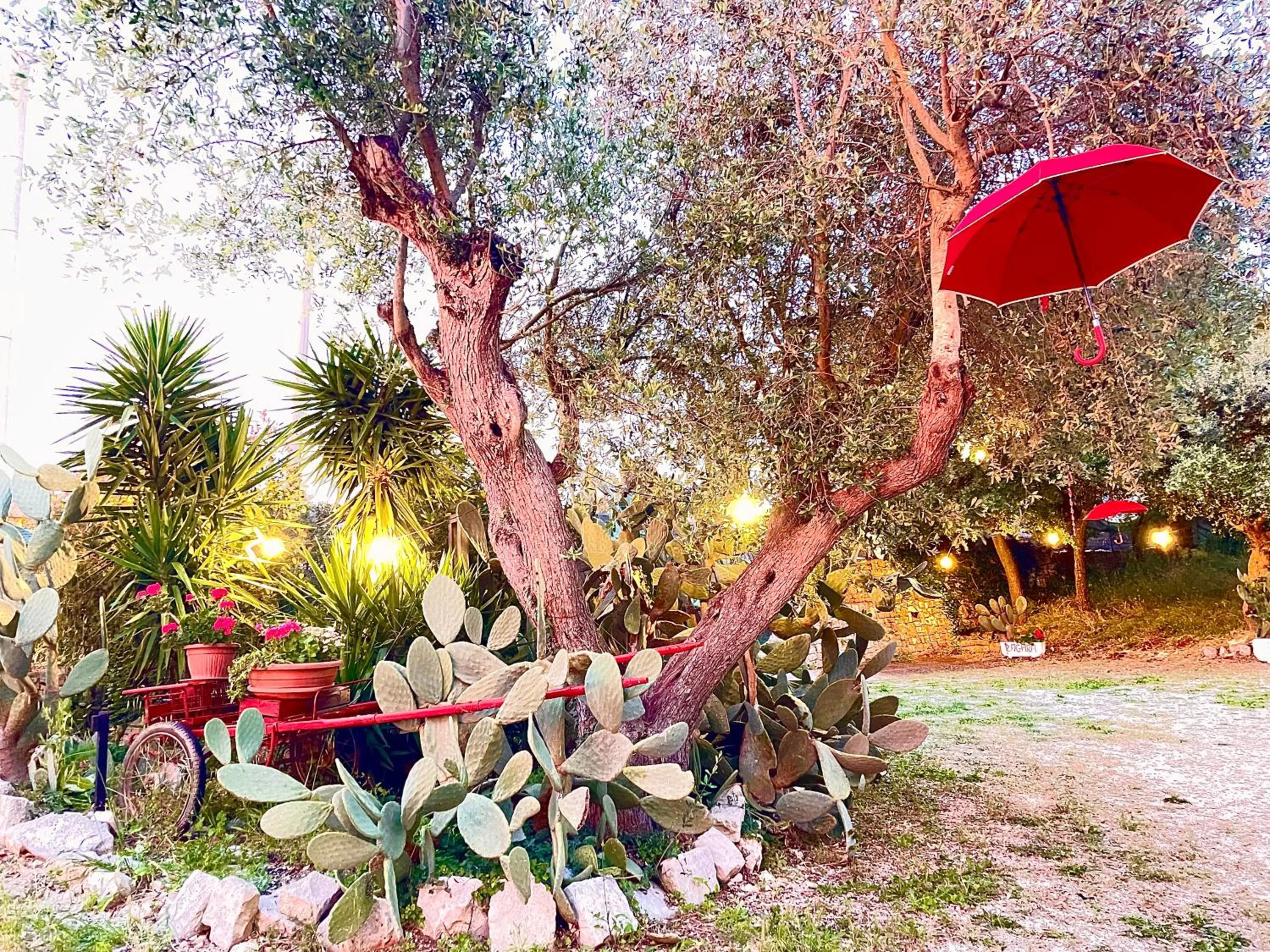 Natural landscape in Mirella Charming