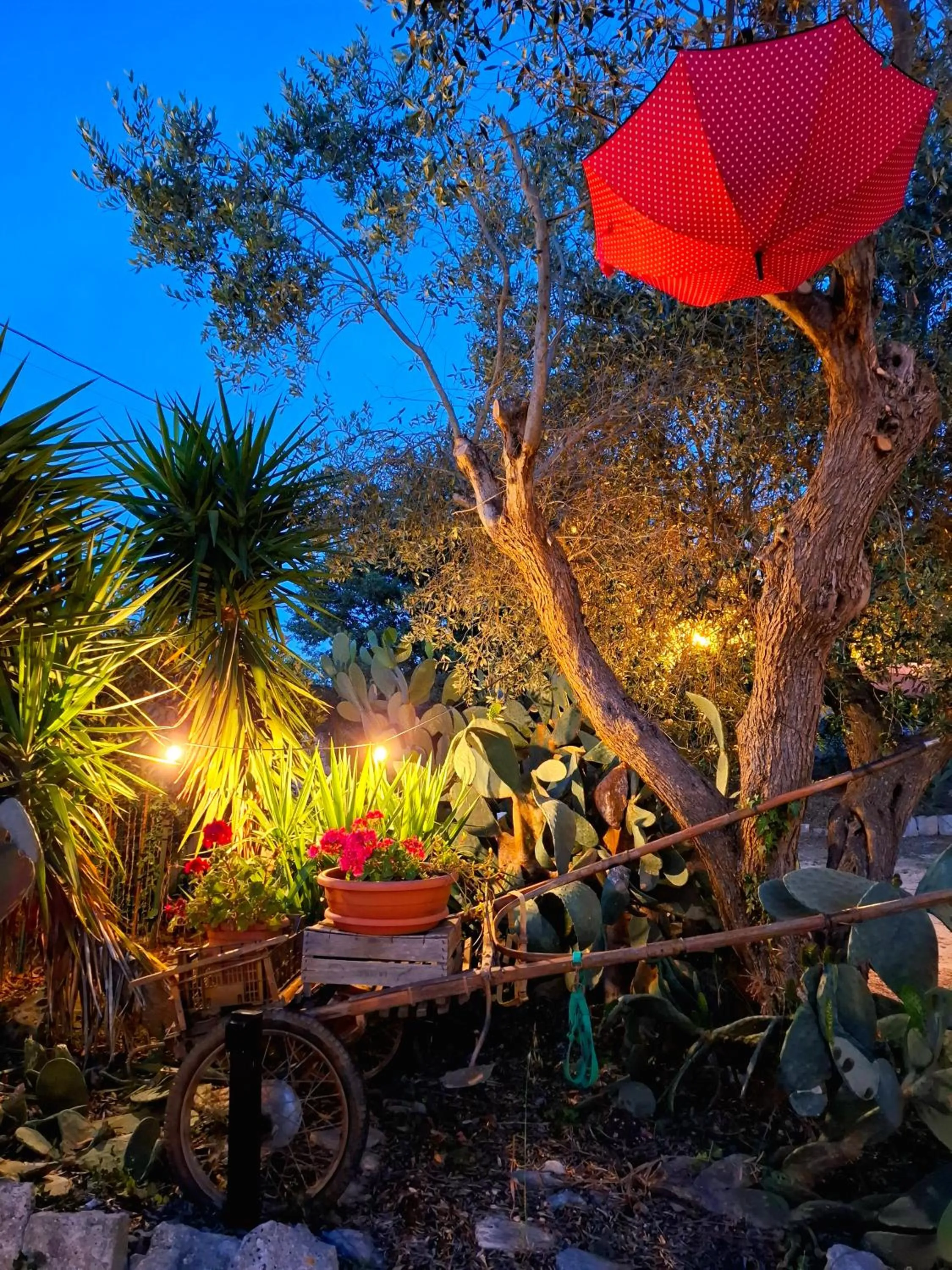 Garden in Mirella Charming