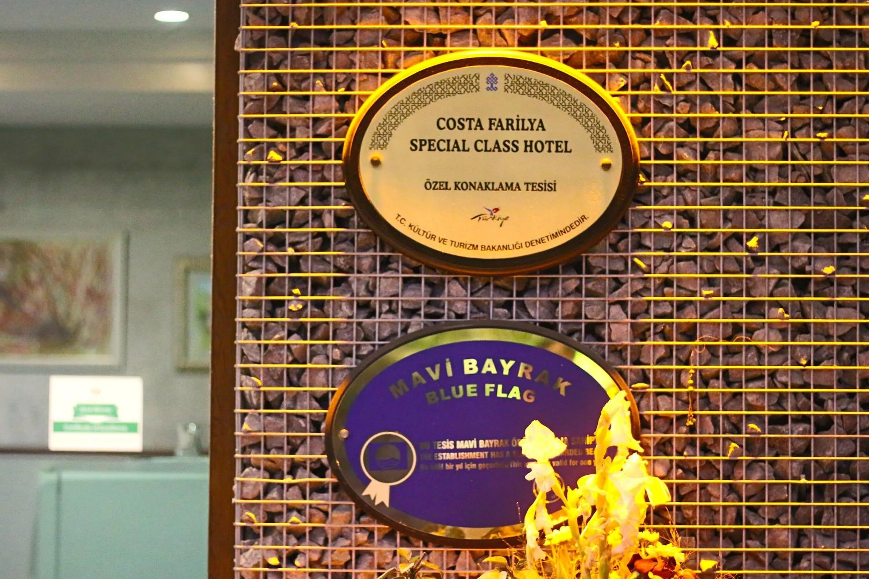 Lobby or reception in Costa Farilya Special Class Hotel Bodrum