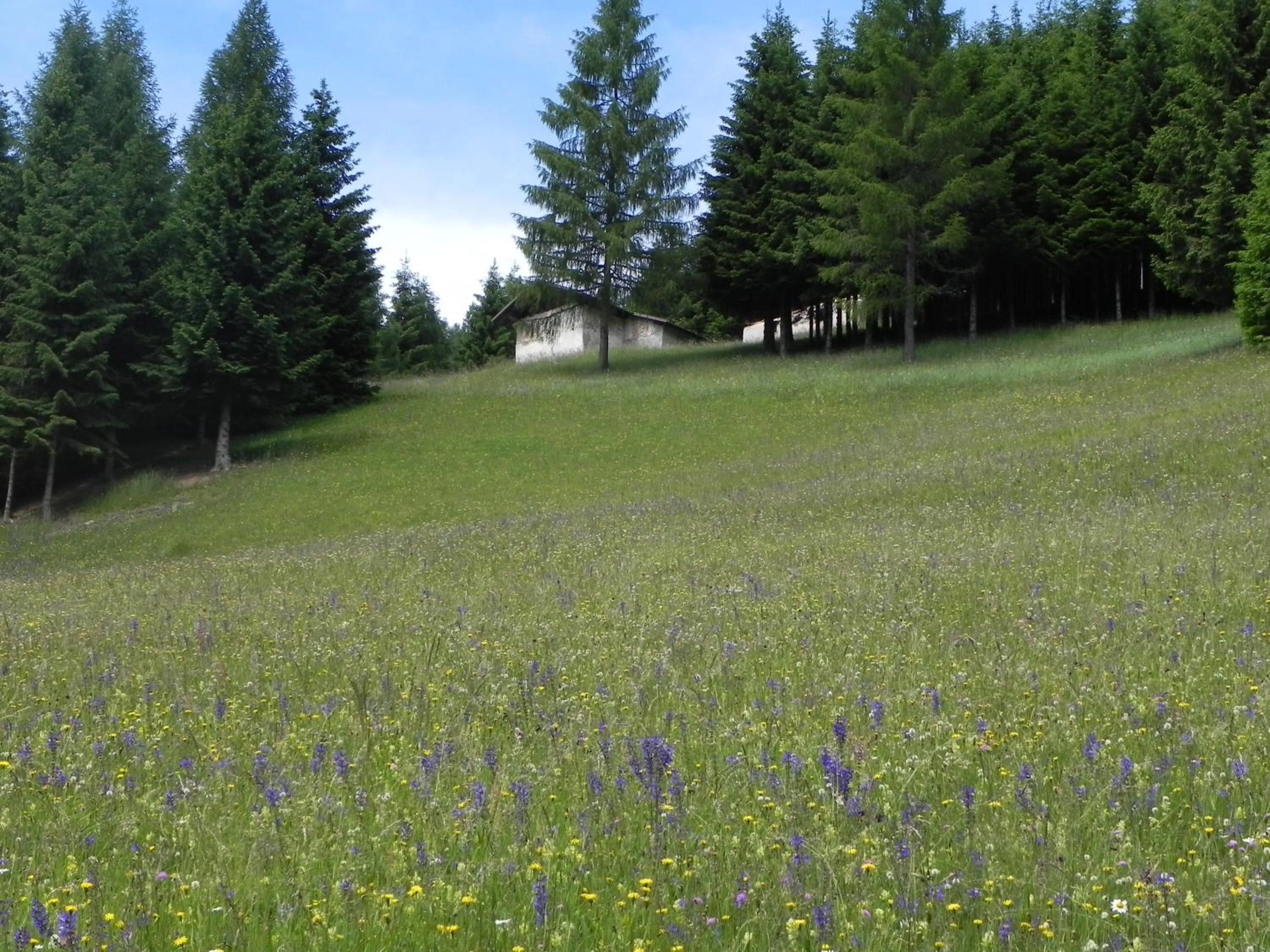 Day in Hotel Isolabella Wellness