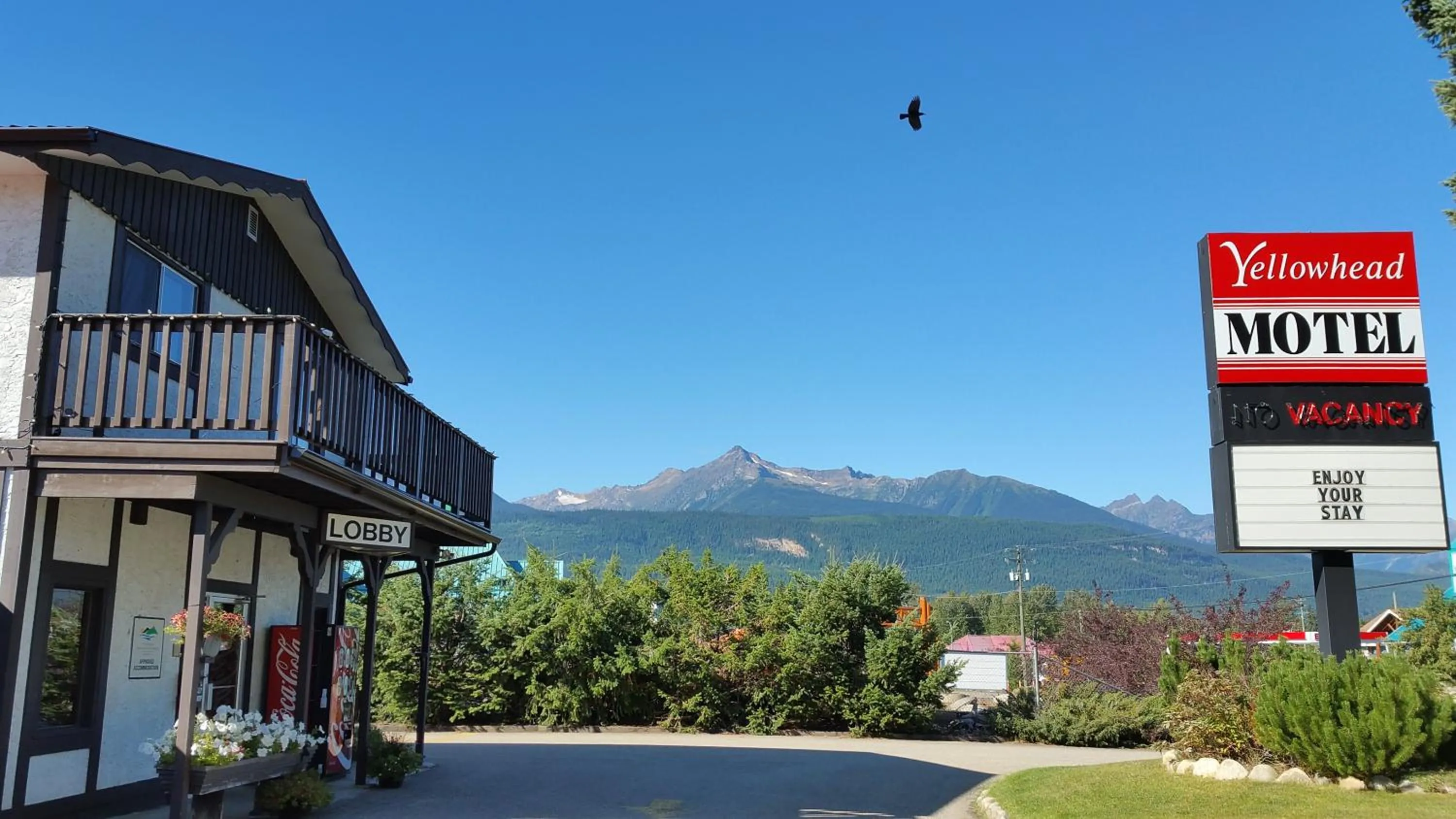 Yellowhead Motel