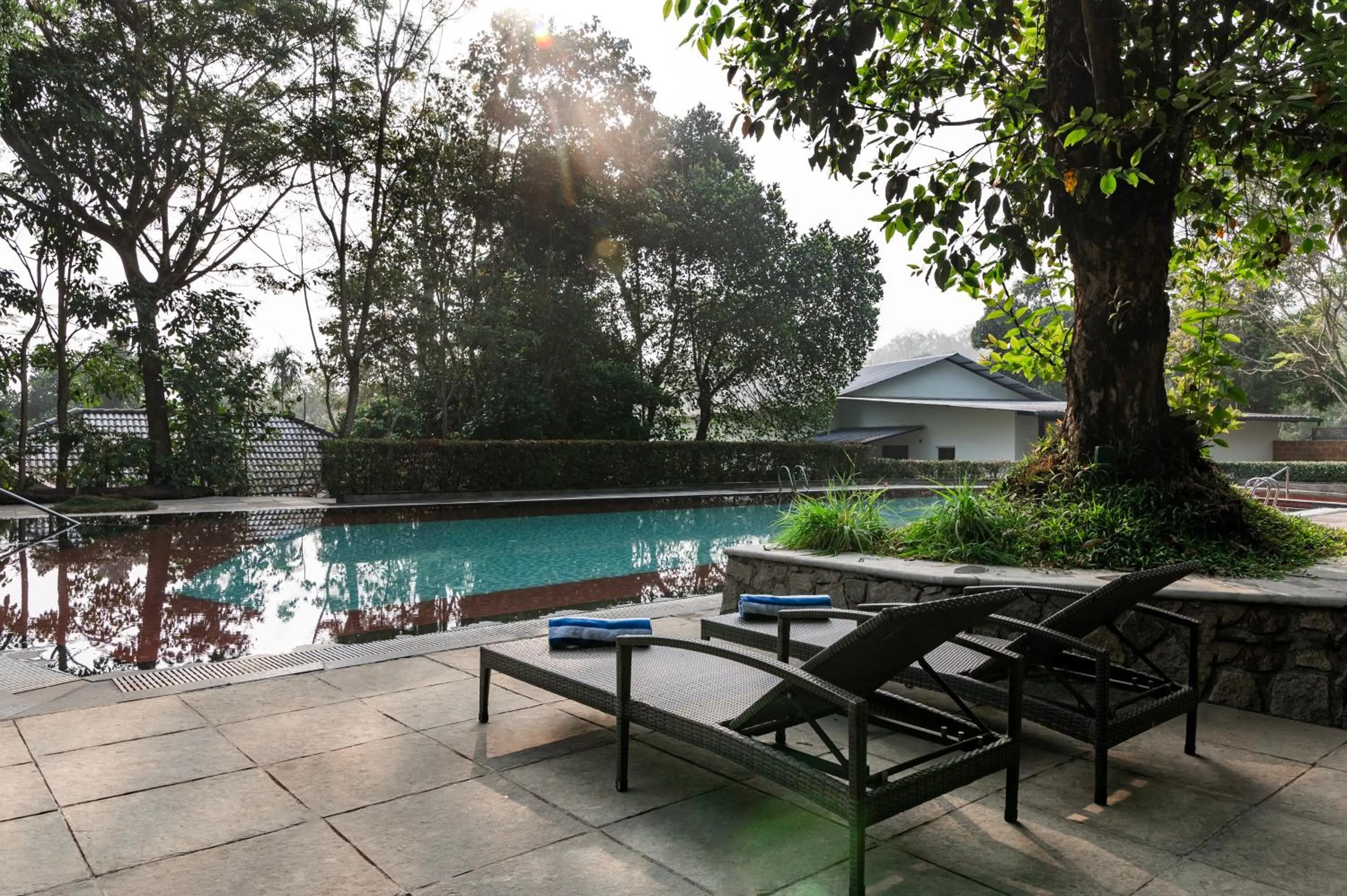 Swimming pool in Sterling Wayanad