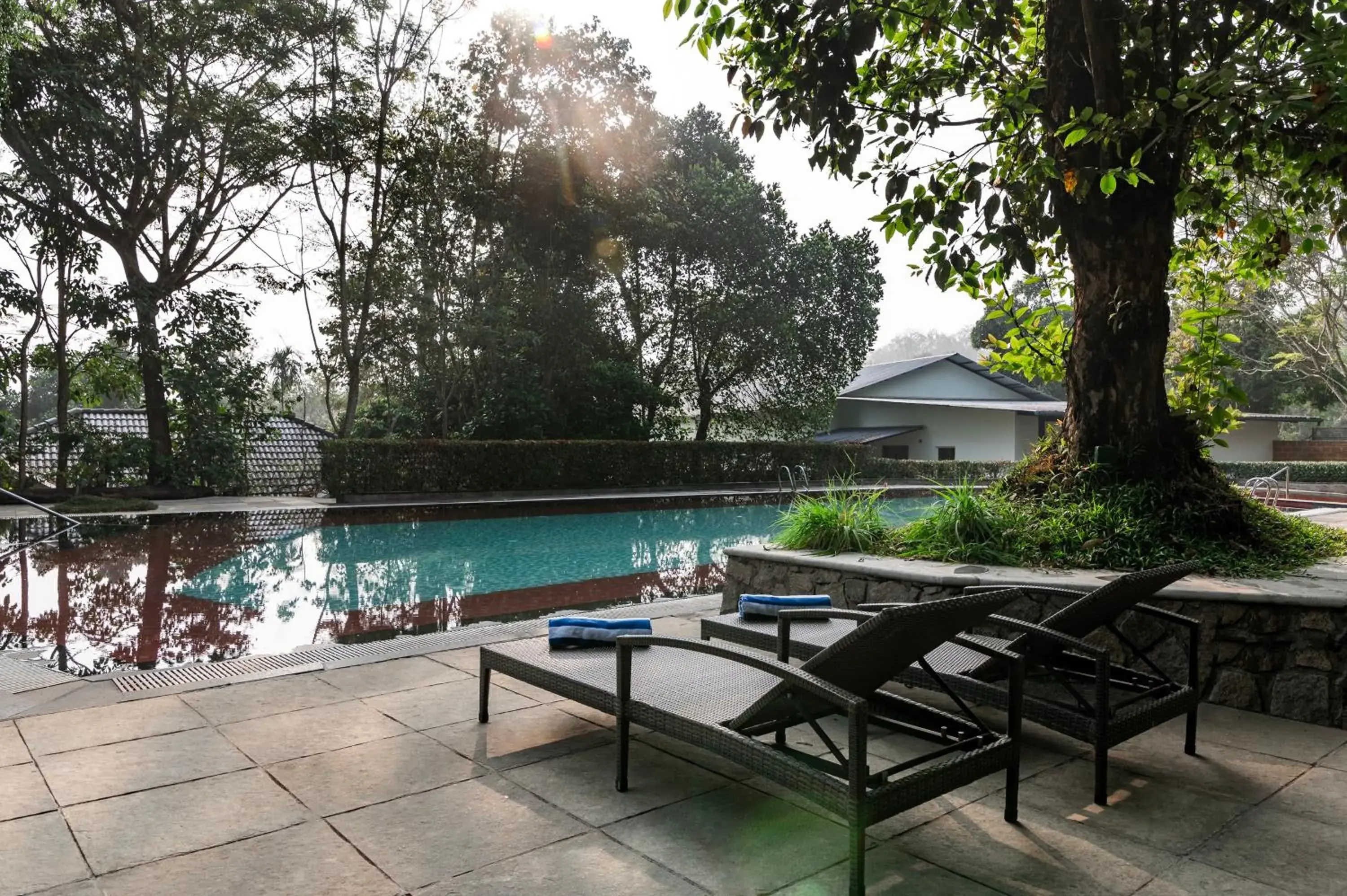 Swimming pool in Sterling Wayanad Swimming pool in Sterling Wayanad