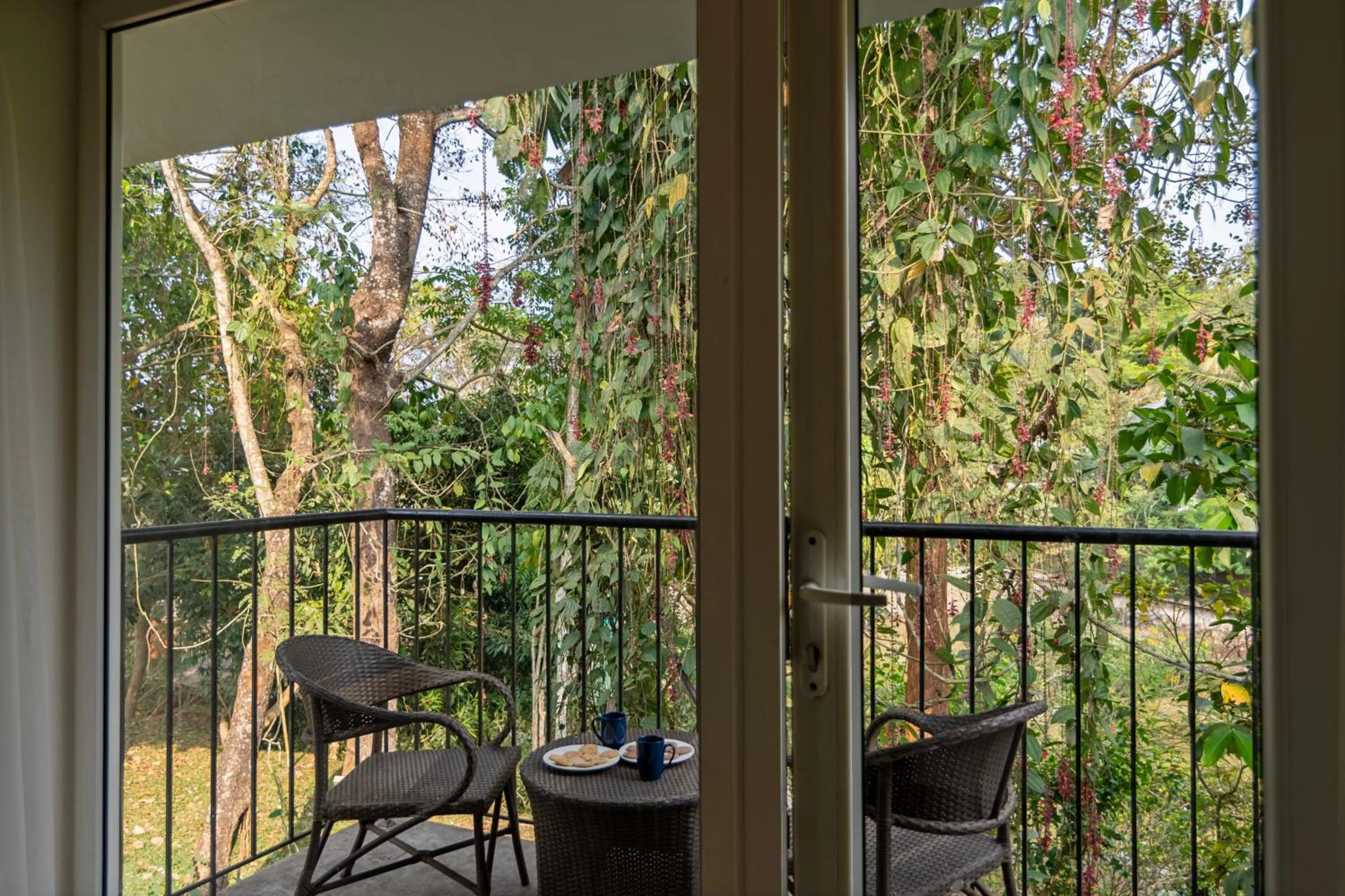 Balcony/Terrace in Sterling Wayanad