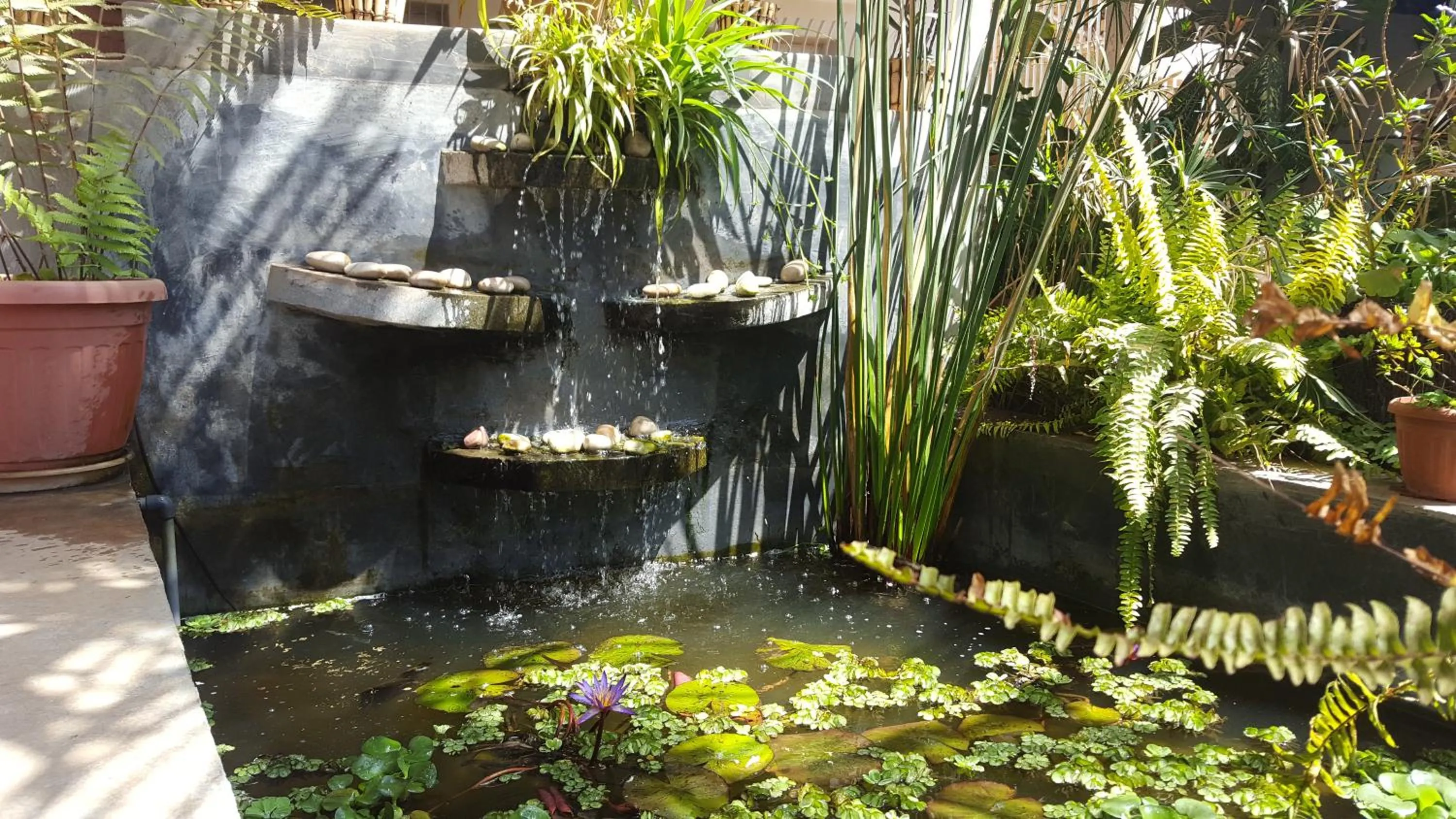 OCEANIS HOME & VOYAGES - Navette incluse en aller simple