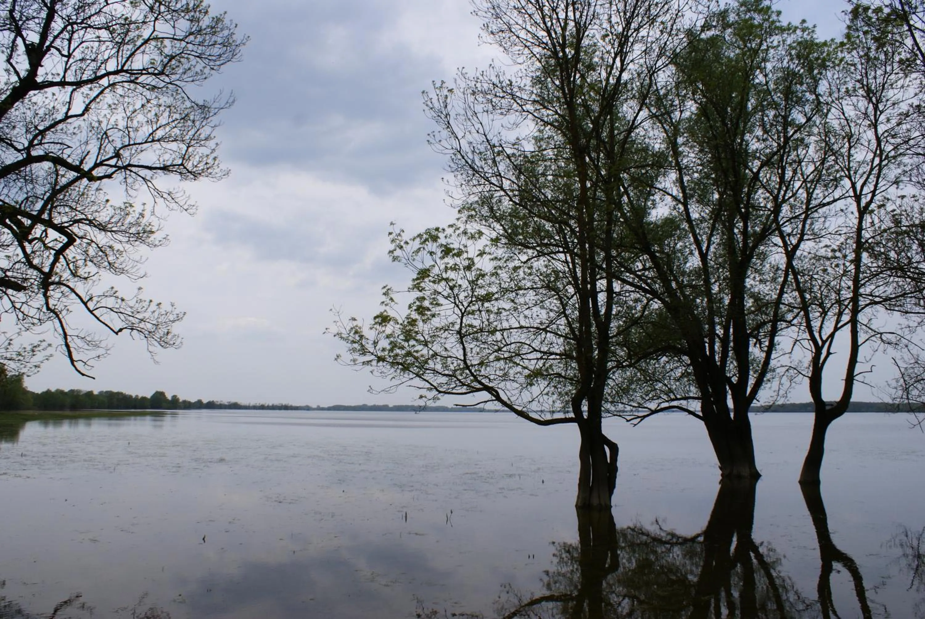 Area and facilities in Tradicije Cigoc