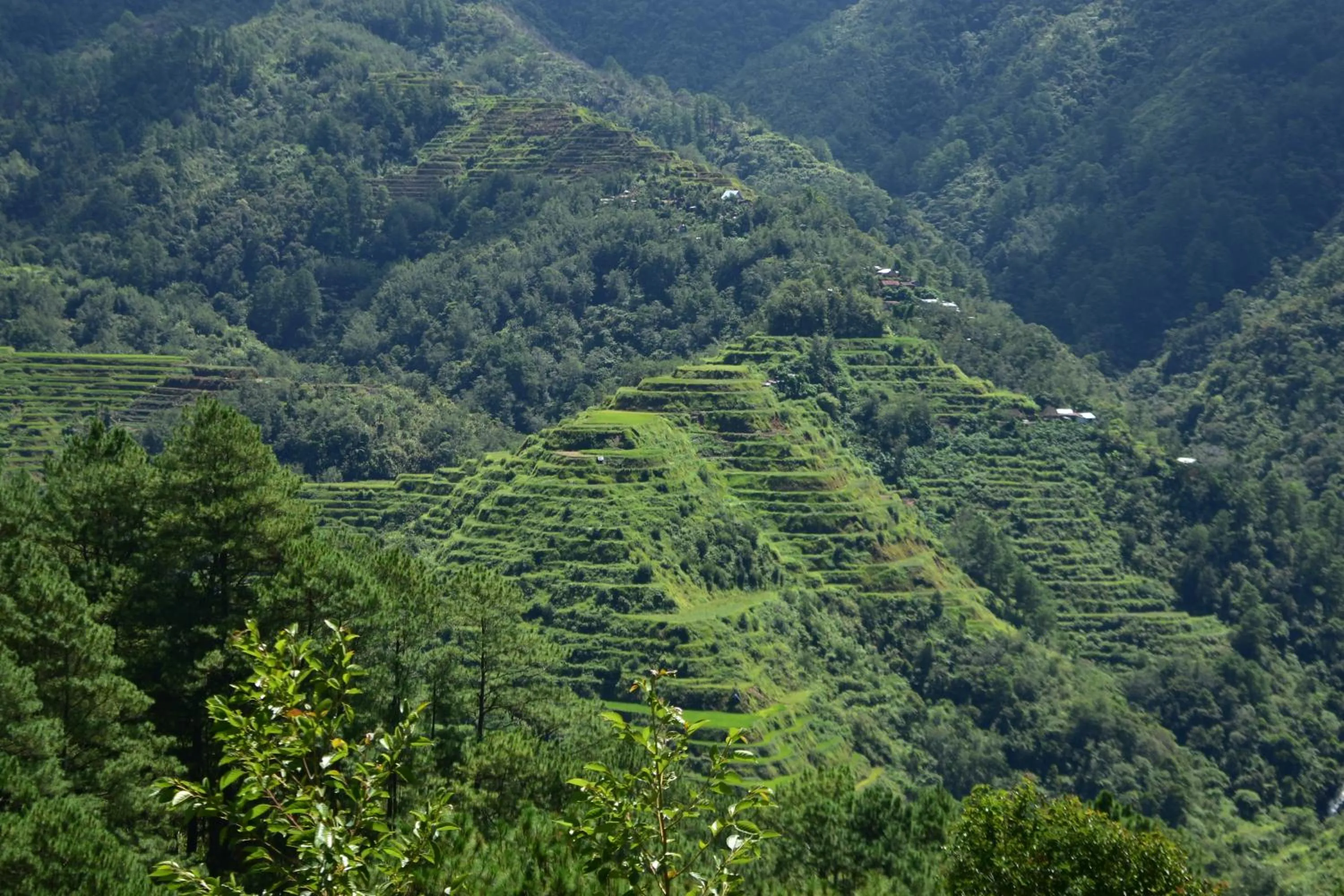 Natural landscape in Hiwang Native House Inn & Viewdeck