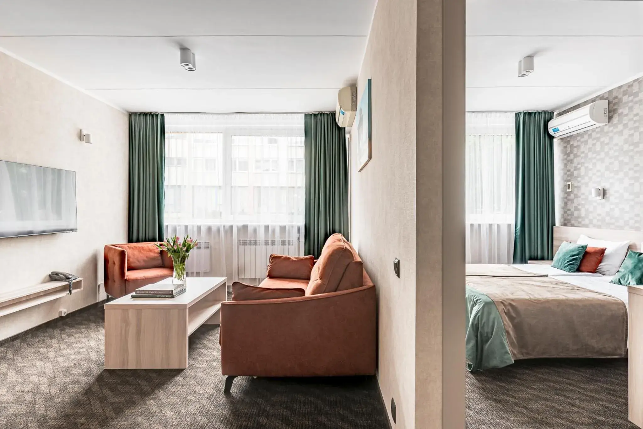 Deluxe Double Room in Hotel Zemaites Deluxe Double Room in Hotel Zemaites