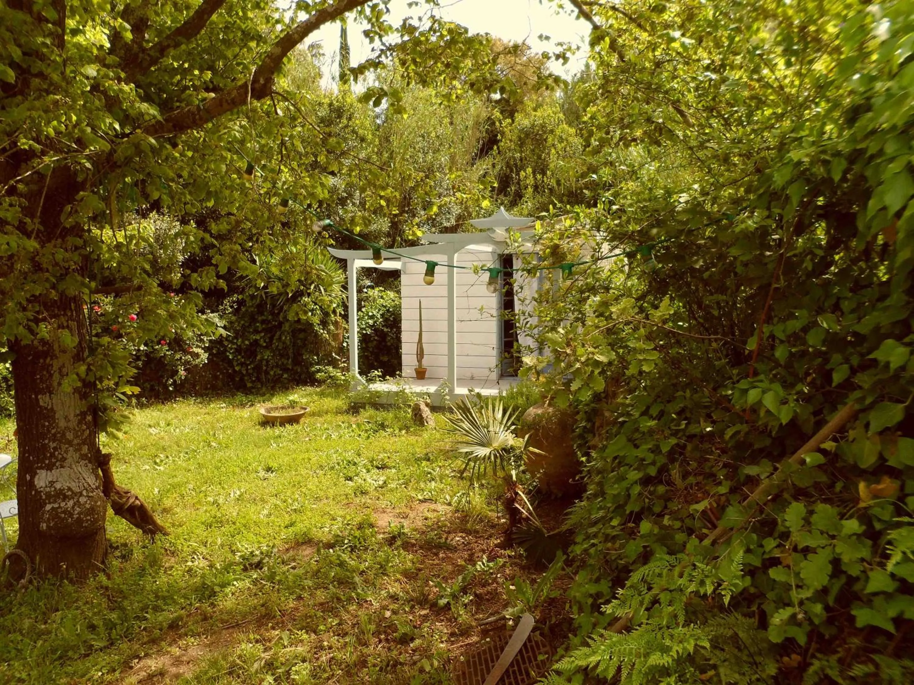 Garden in Maison d'Hôtes Le Calme