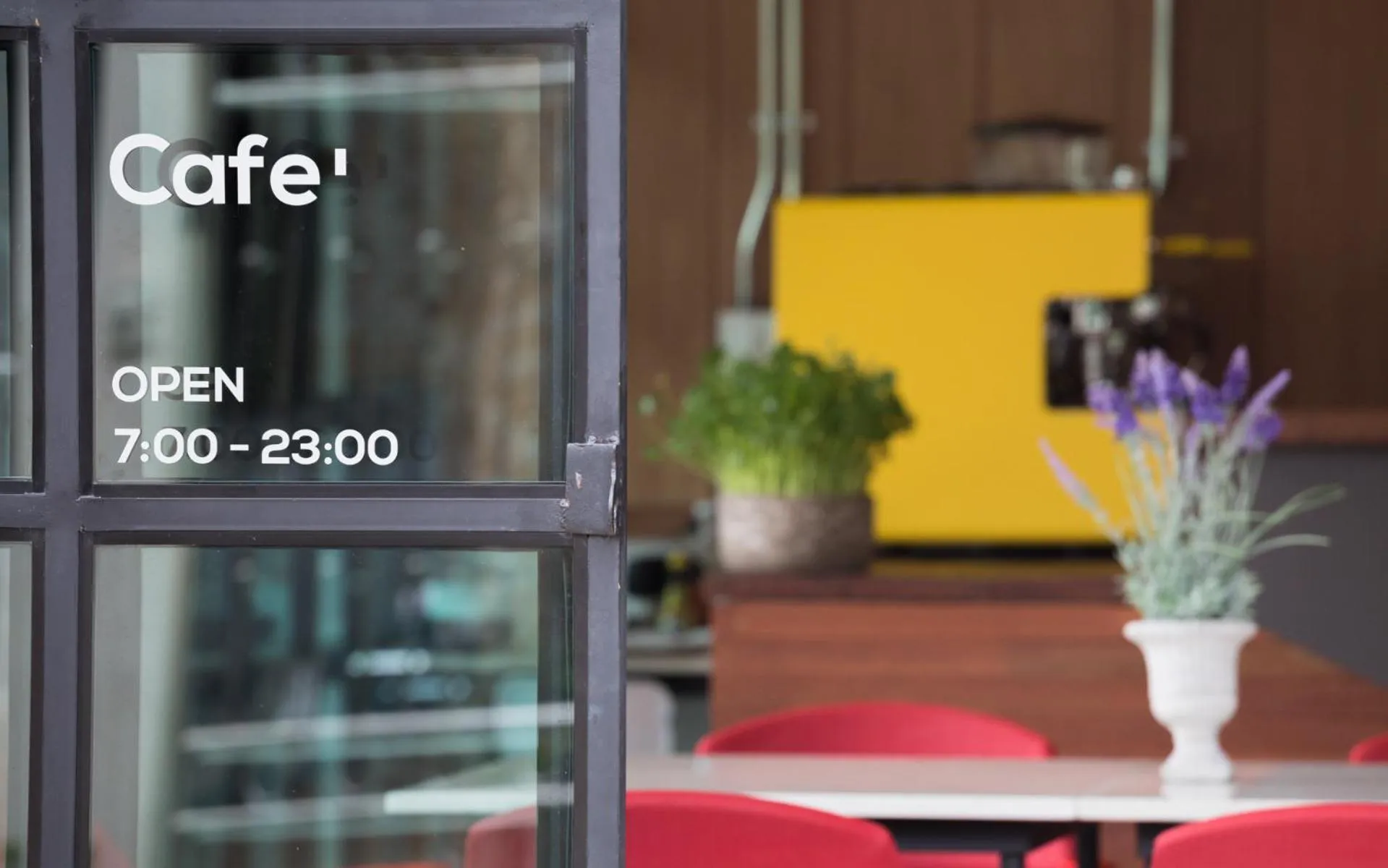 Restaurant/places to eat in The Rodman Hotel