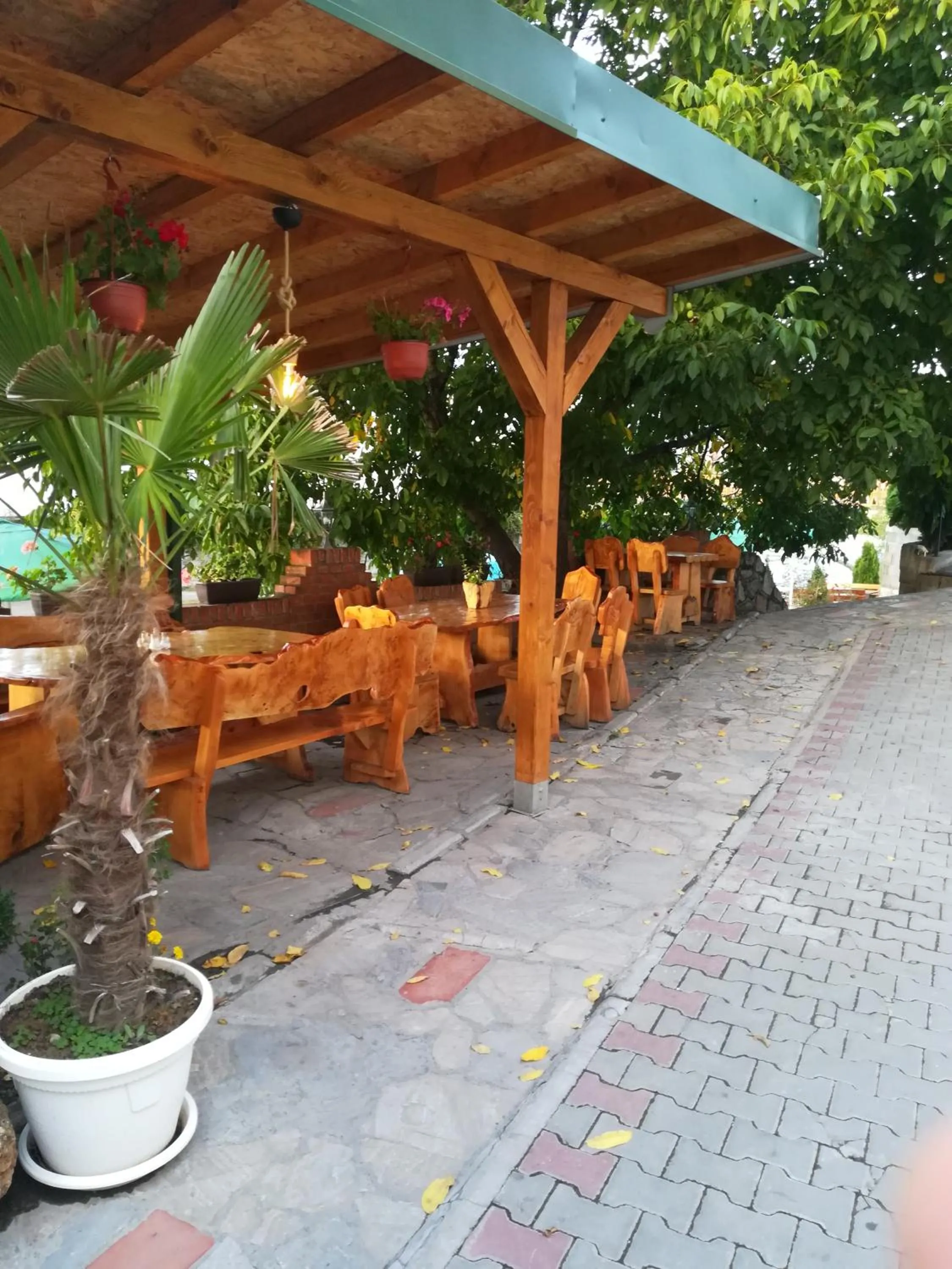 Patio in Hotel Palma