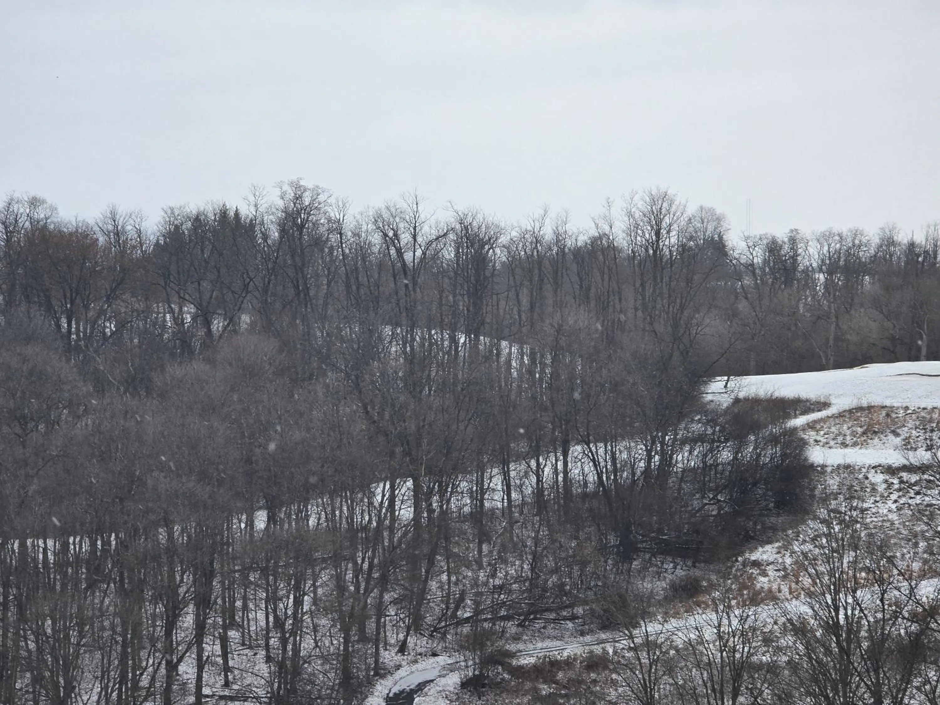 View (from property/room) in Courtyard Altoona