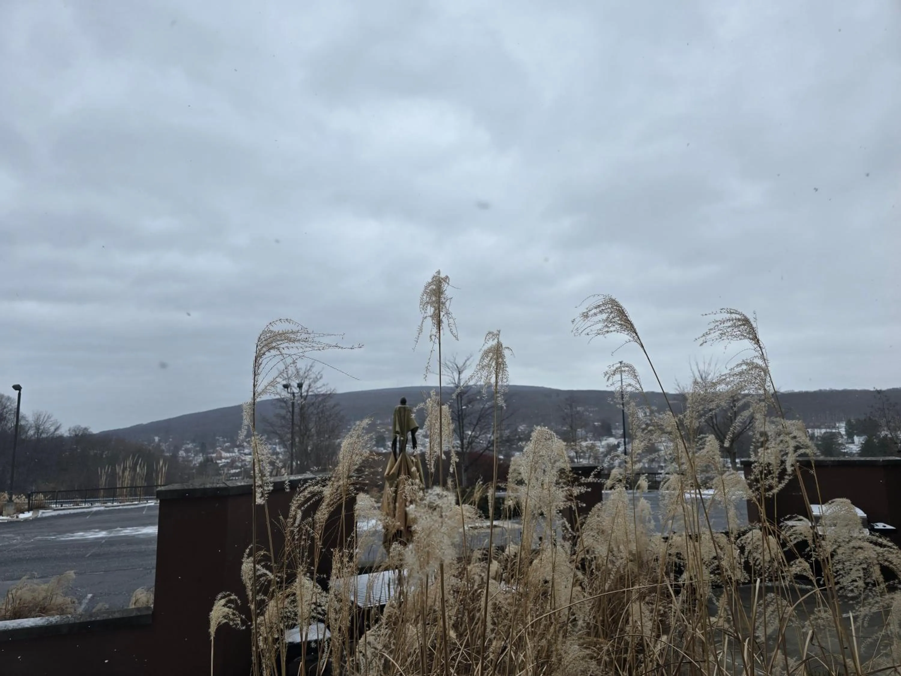 Garden in Courtyard Altoona