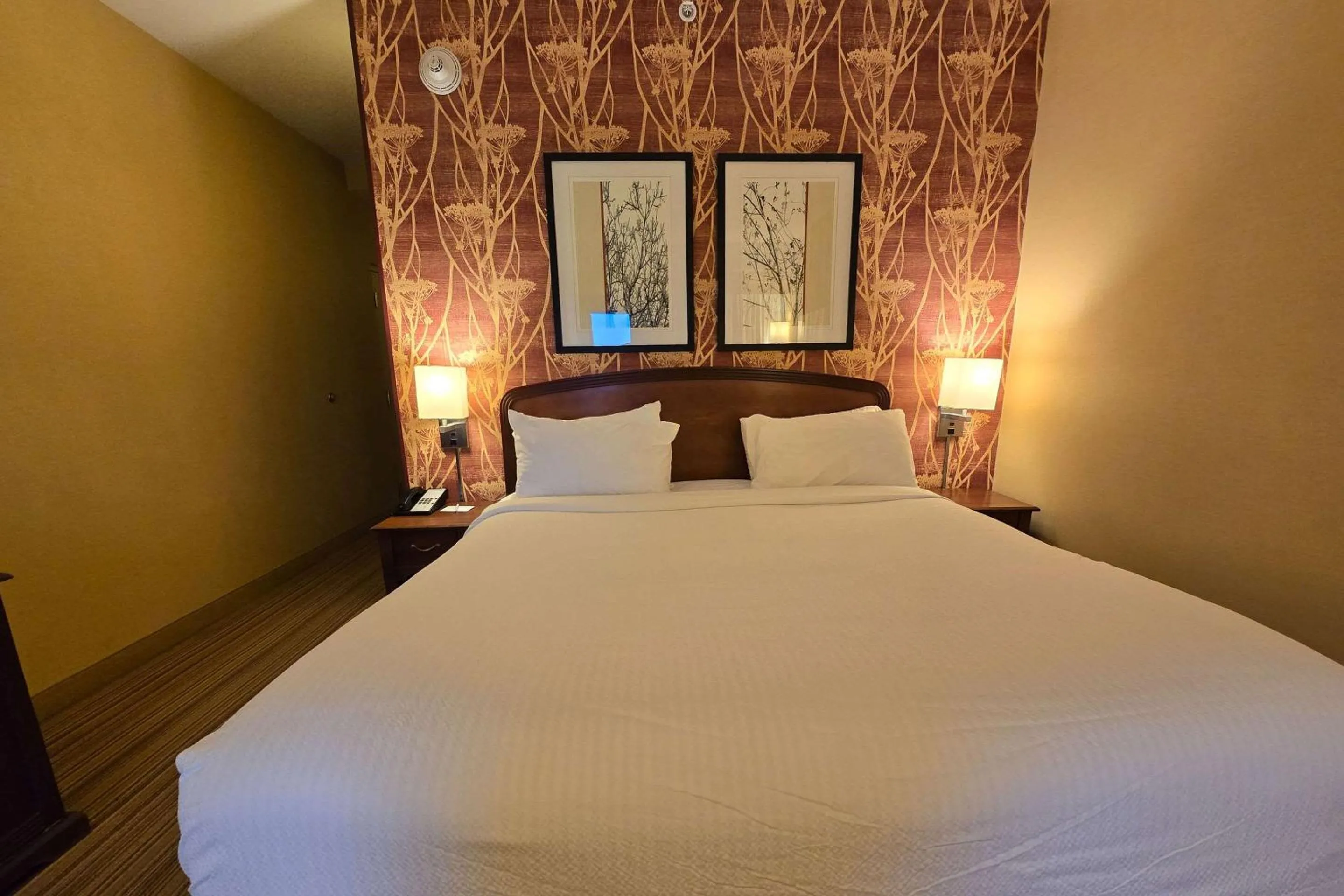 Bedroom, Bed in Courtyard Altoona