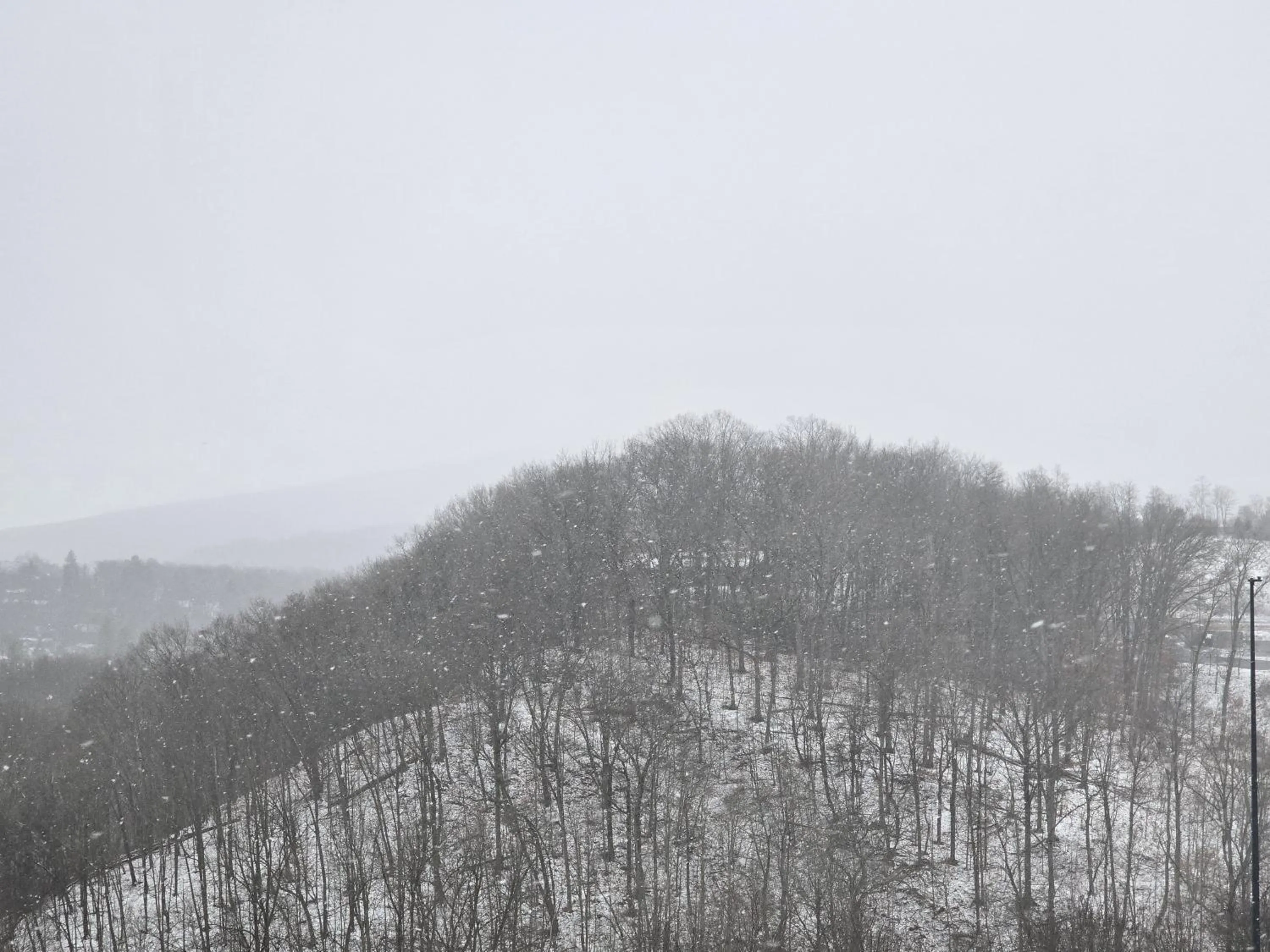 View (from property/room) in Courtyard Altoona