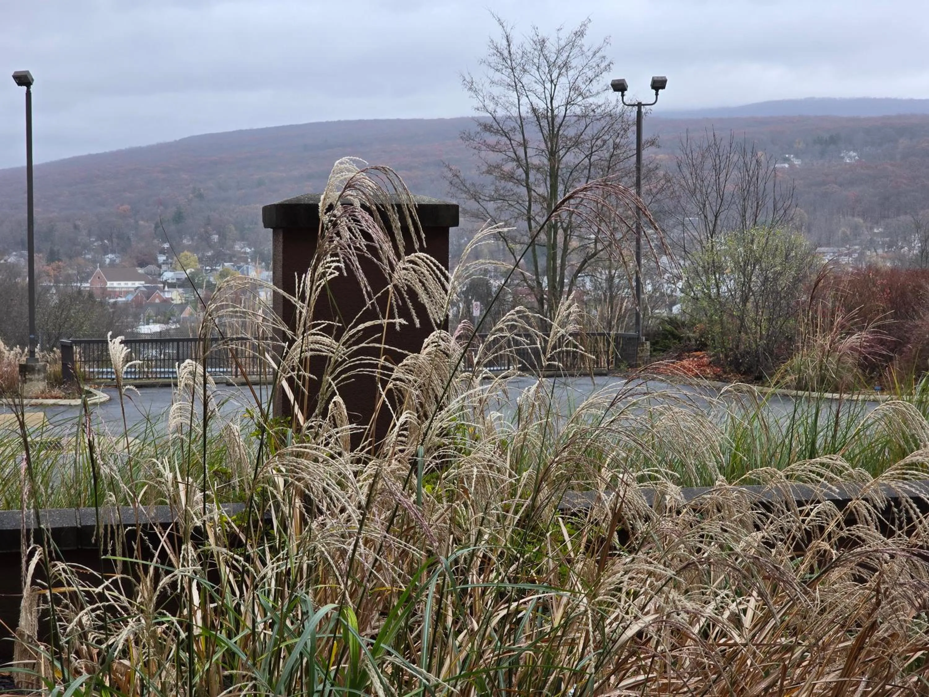 Garden in Courtyard Altoona