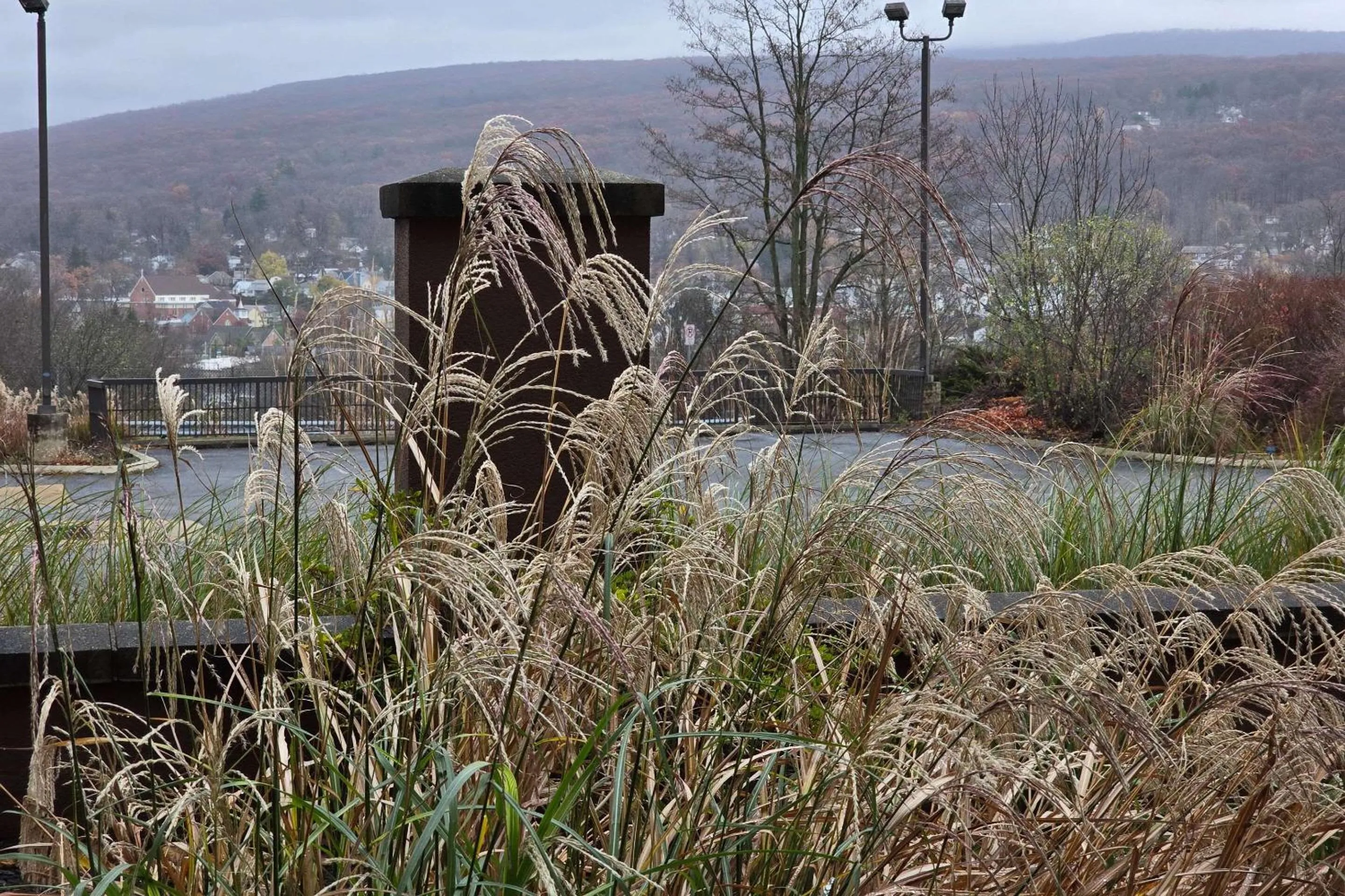 Other in Courtyard Altoona