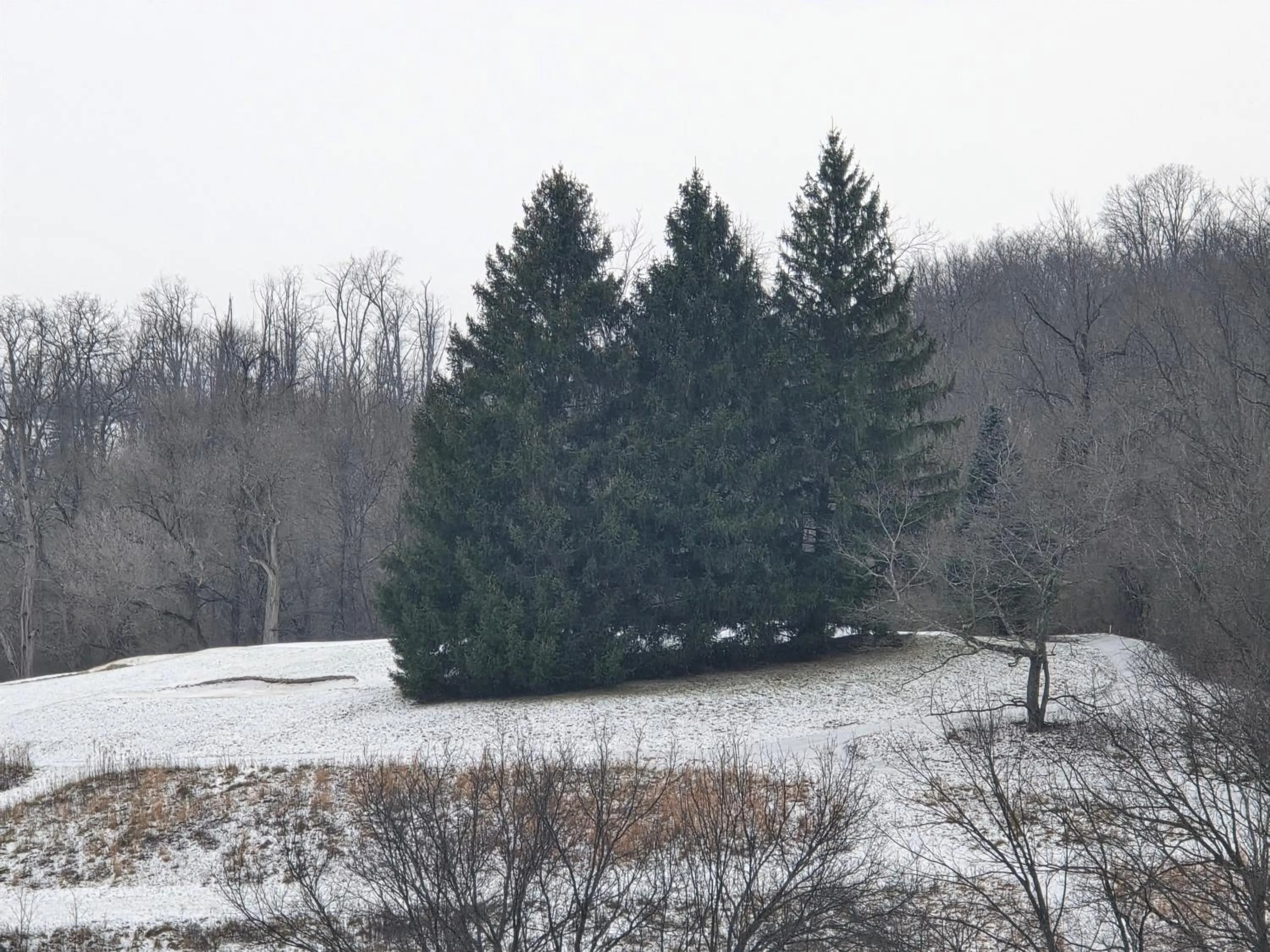 View (from property/room) in Courtyard Altoona