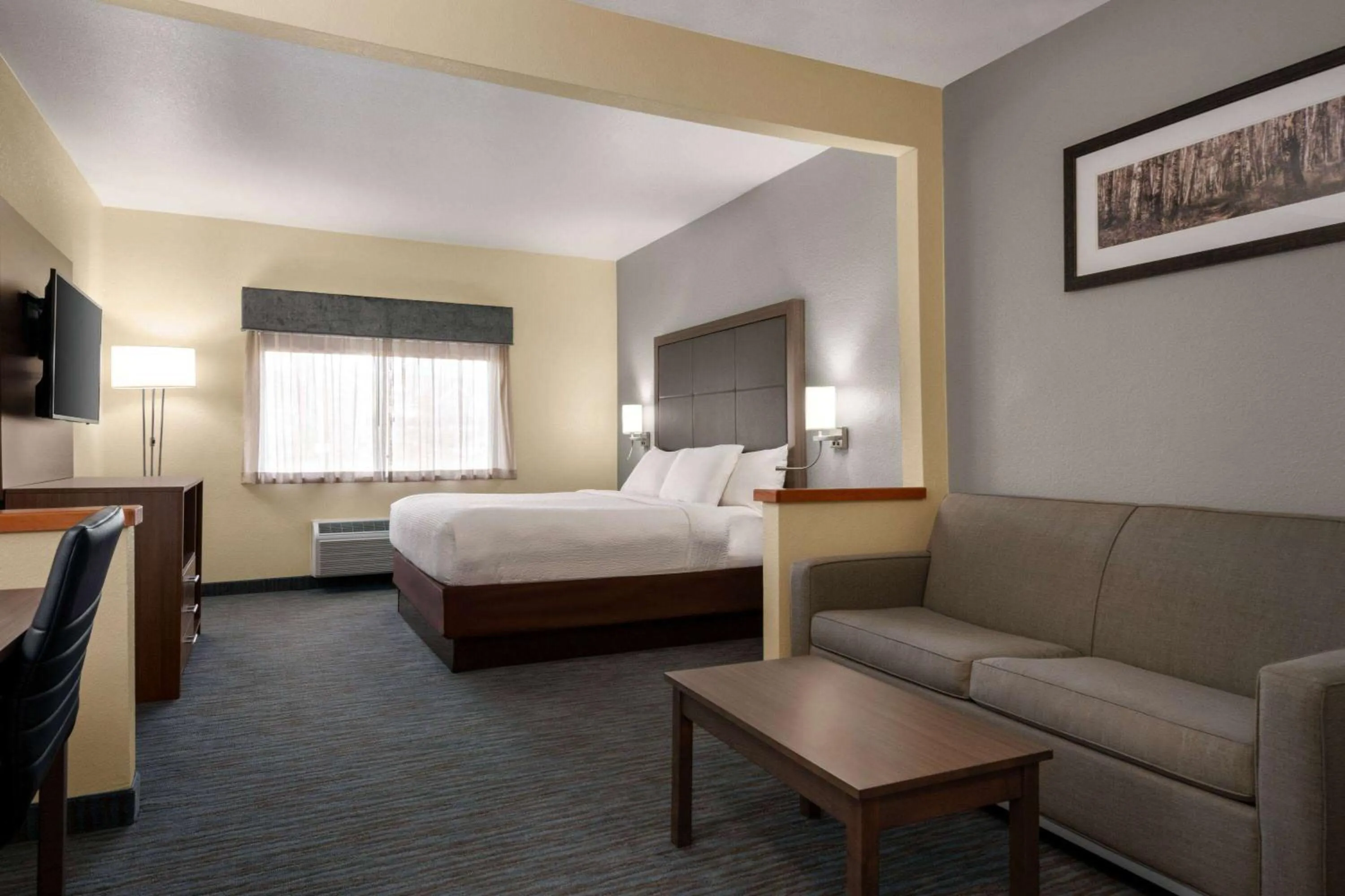 Photo of the whole room in Wingate by Wyndham Appleton