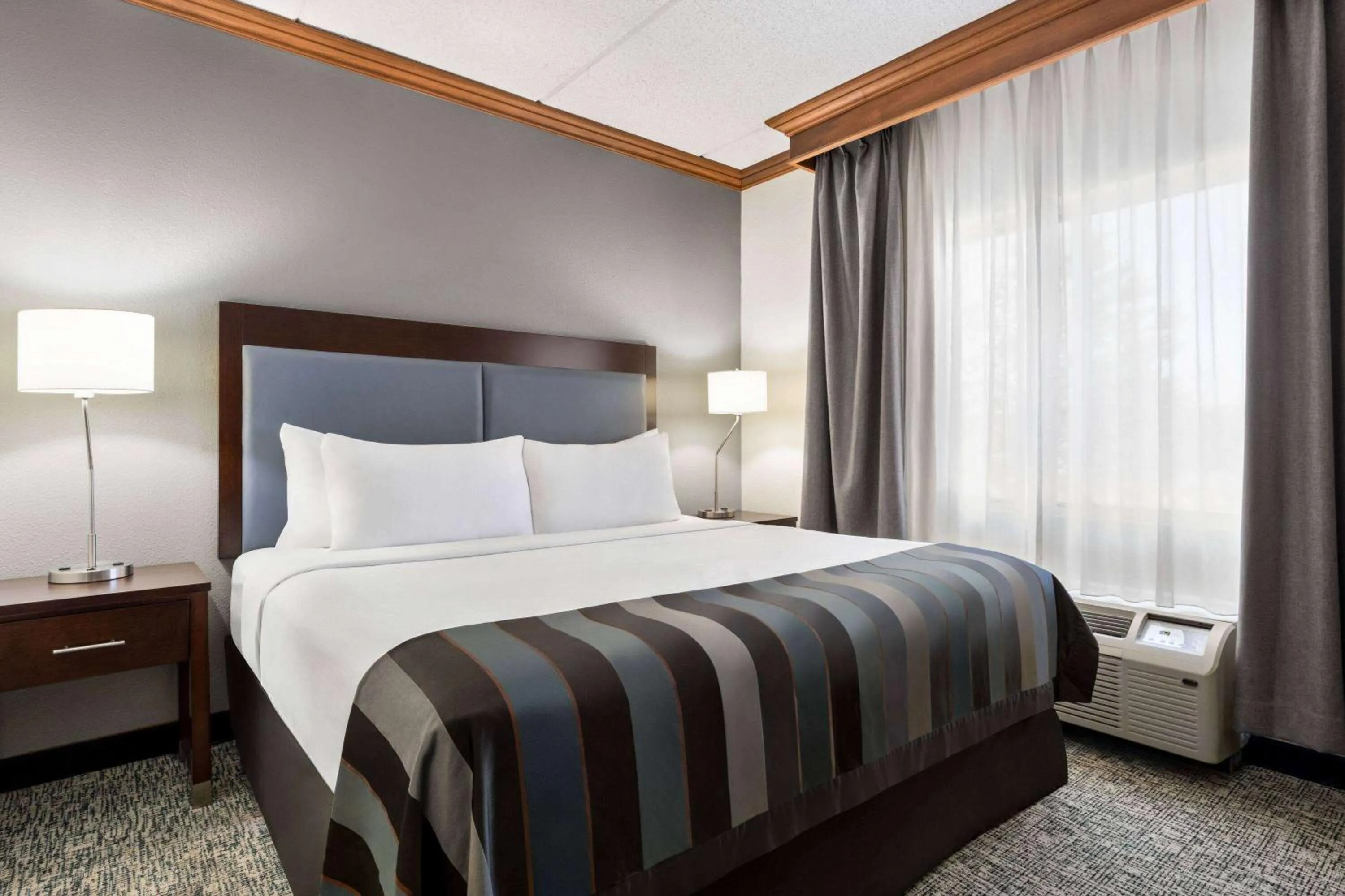 Photo of the whole room, Bed in Wingate by Wyndham Fletcher at Asheville Airport