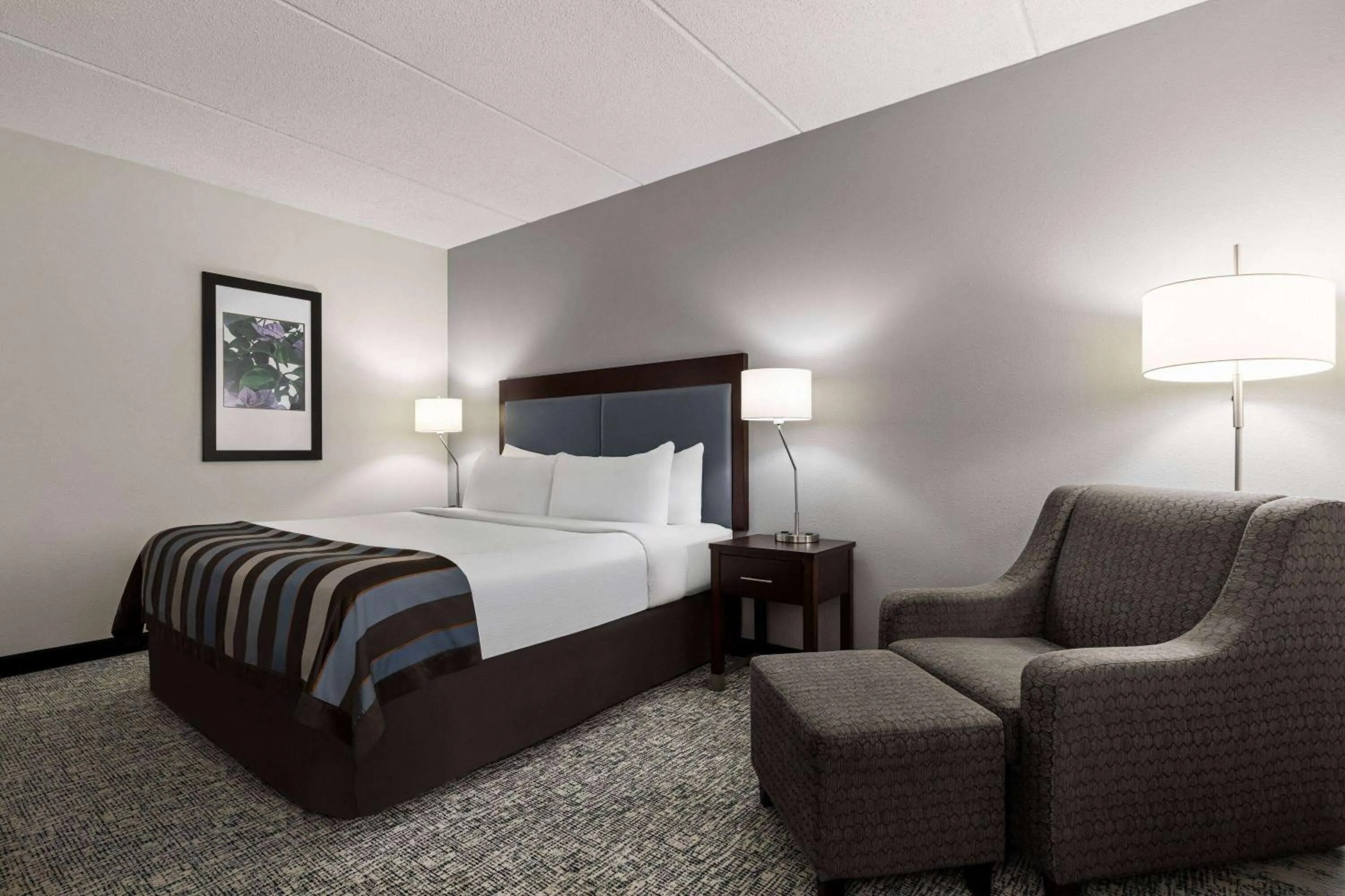 Photo of the whole room, Bed in Wingate by Wyndham Fletcher at Asheville Airport