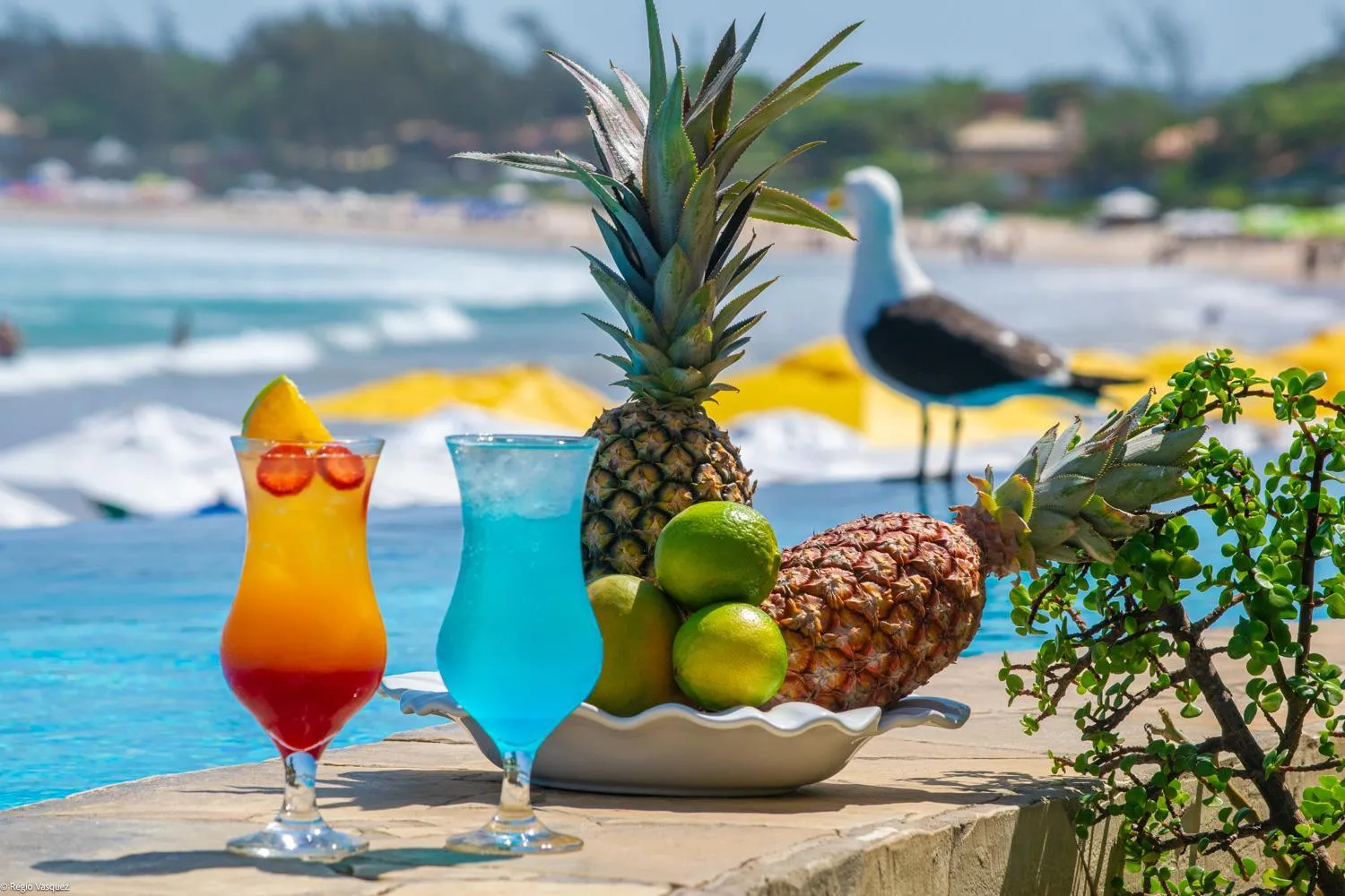 Beach in Chez Pitu Praia Hotel