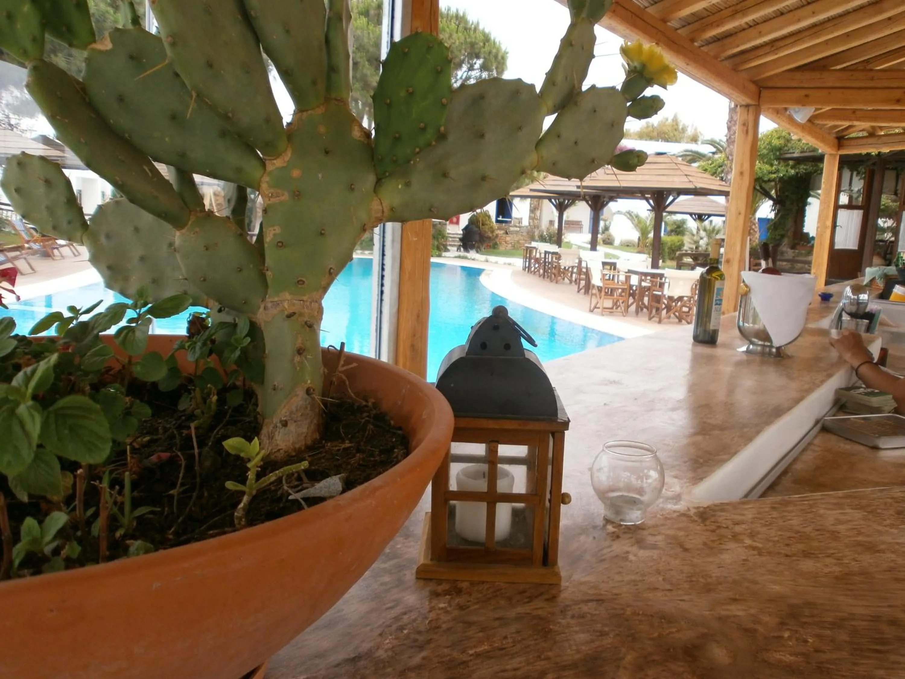 Swimming pool in Alkyoni Beach Hotel
