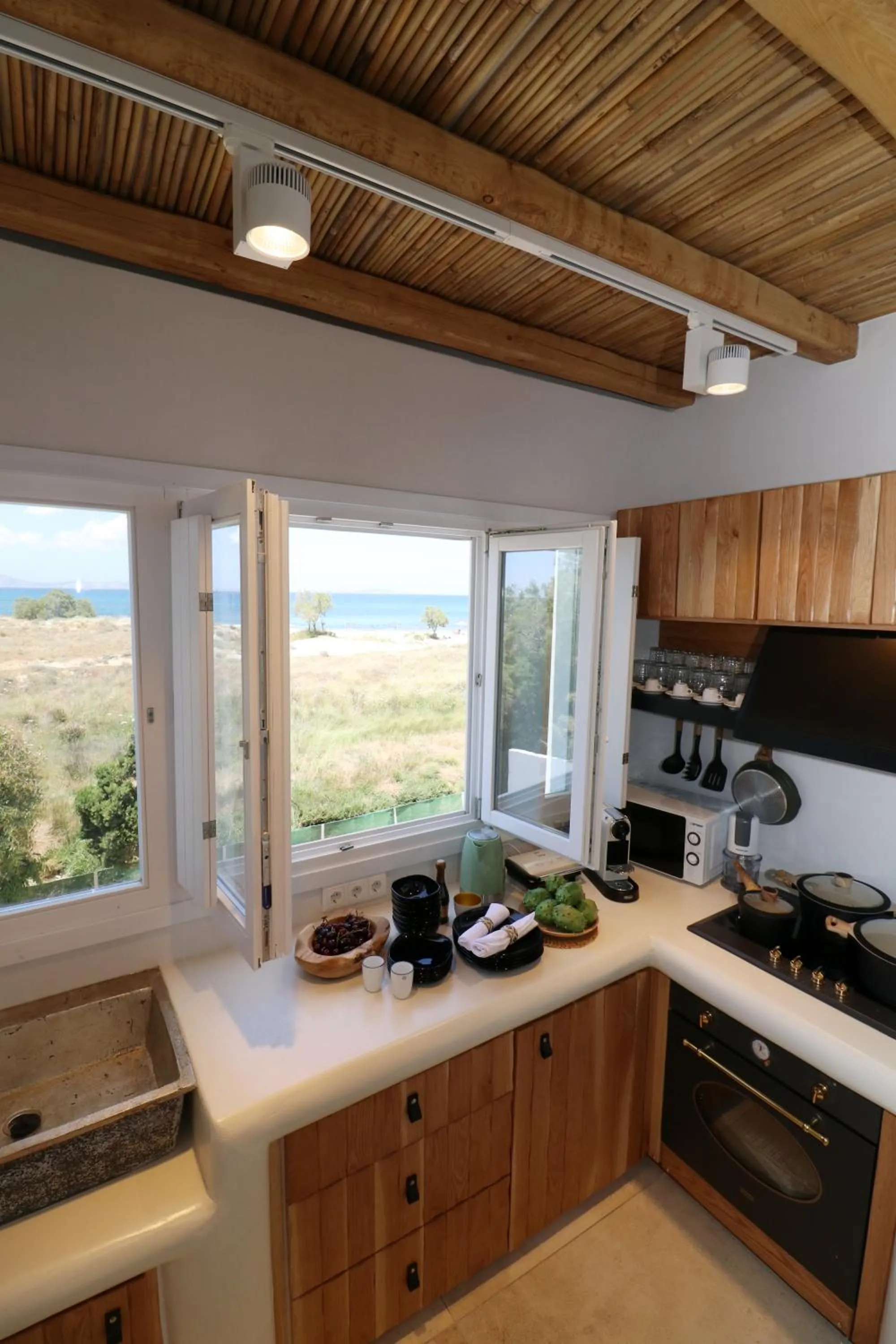 Kitchen or kitchenette in Alkyoni Beach Hotel