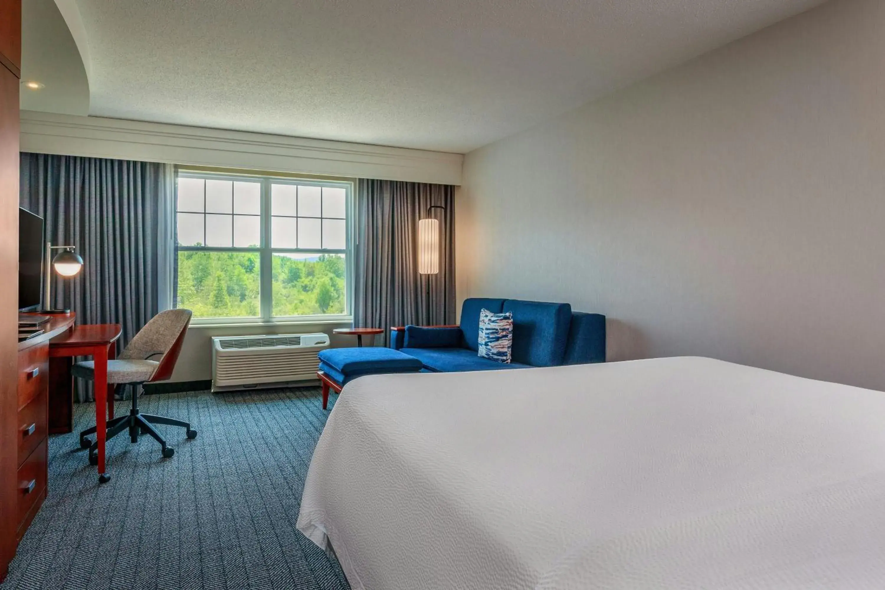 King Room with Sofa Bed in Courtyard Hadley Amherst King Room with Sofa Bed in Courtyard Hadley Amherst