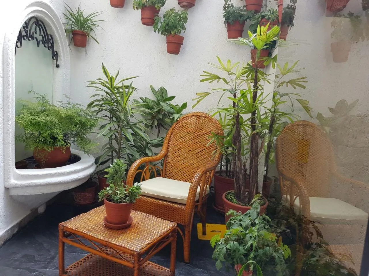 Garden view in Antara Hotel & Suites - Miraflores