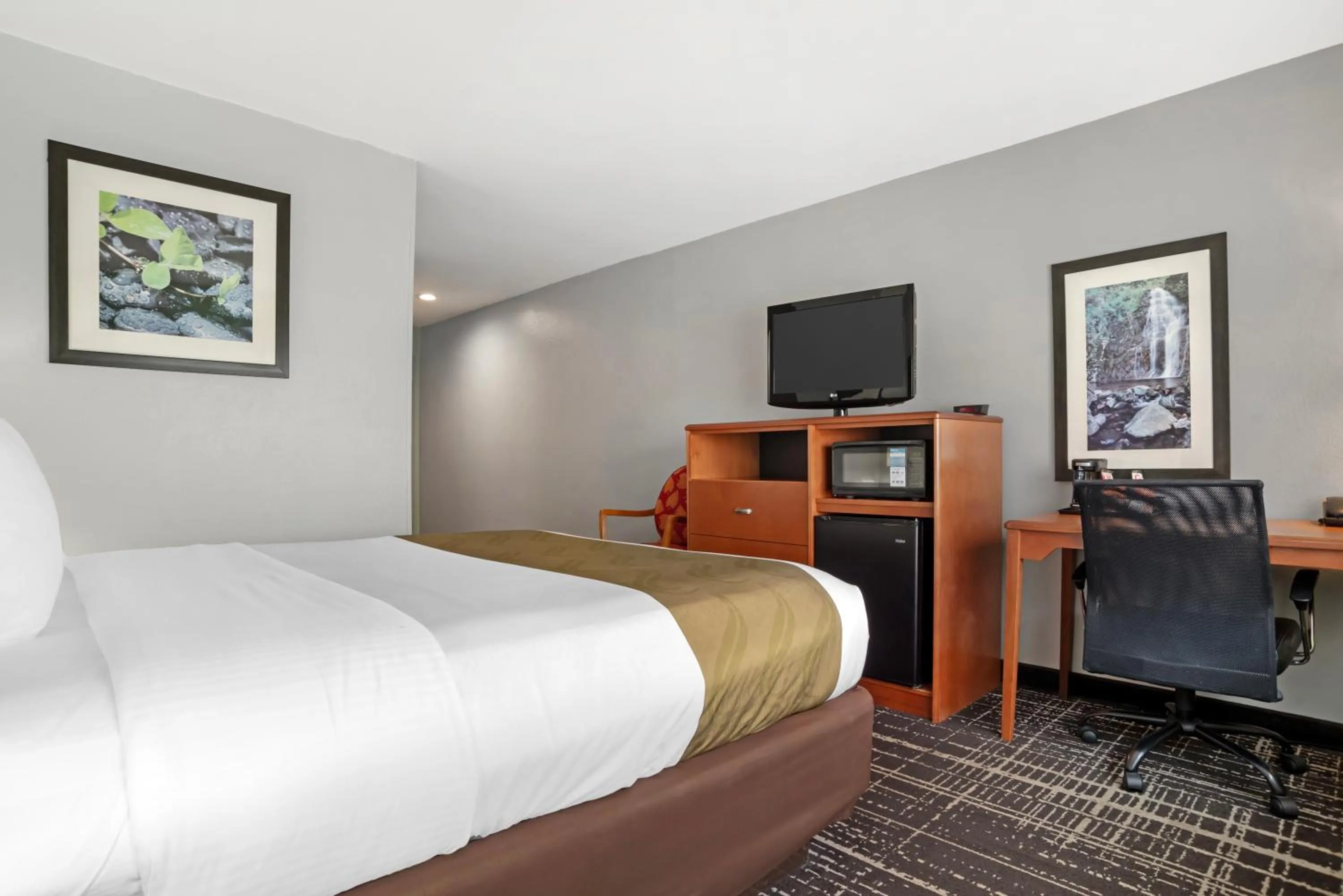 Guests, Bed in Quality Inn & Suites Birmingham - Highway 280