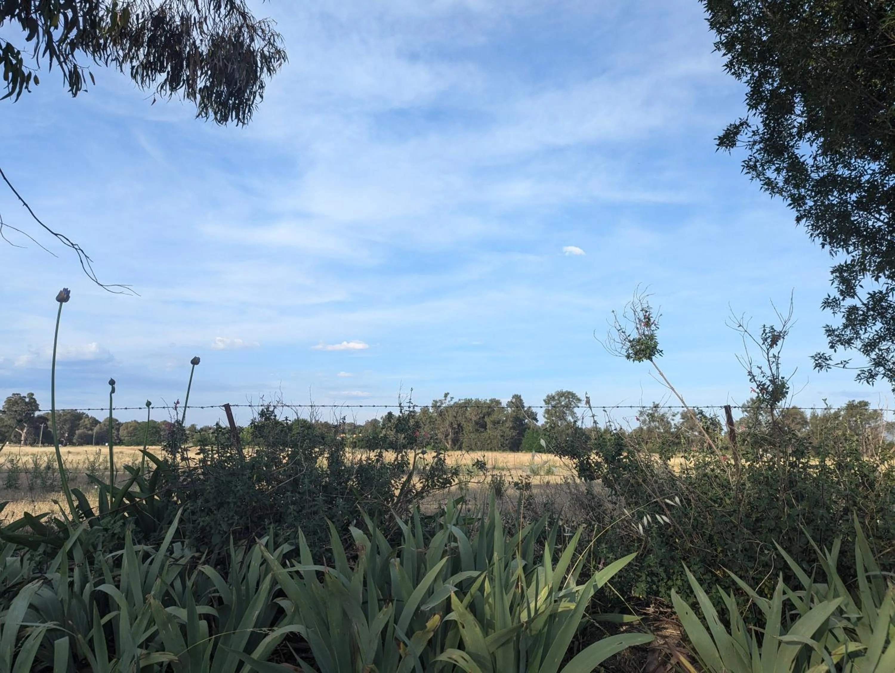 Garden view in The Cudgee at Mudgee