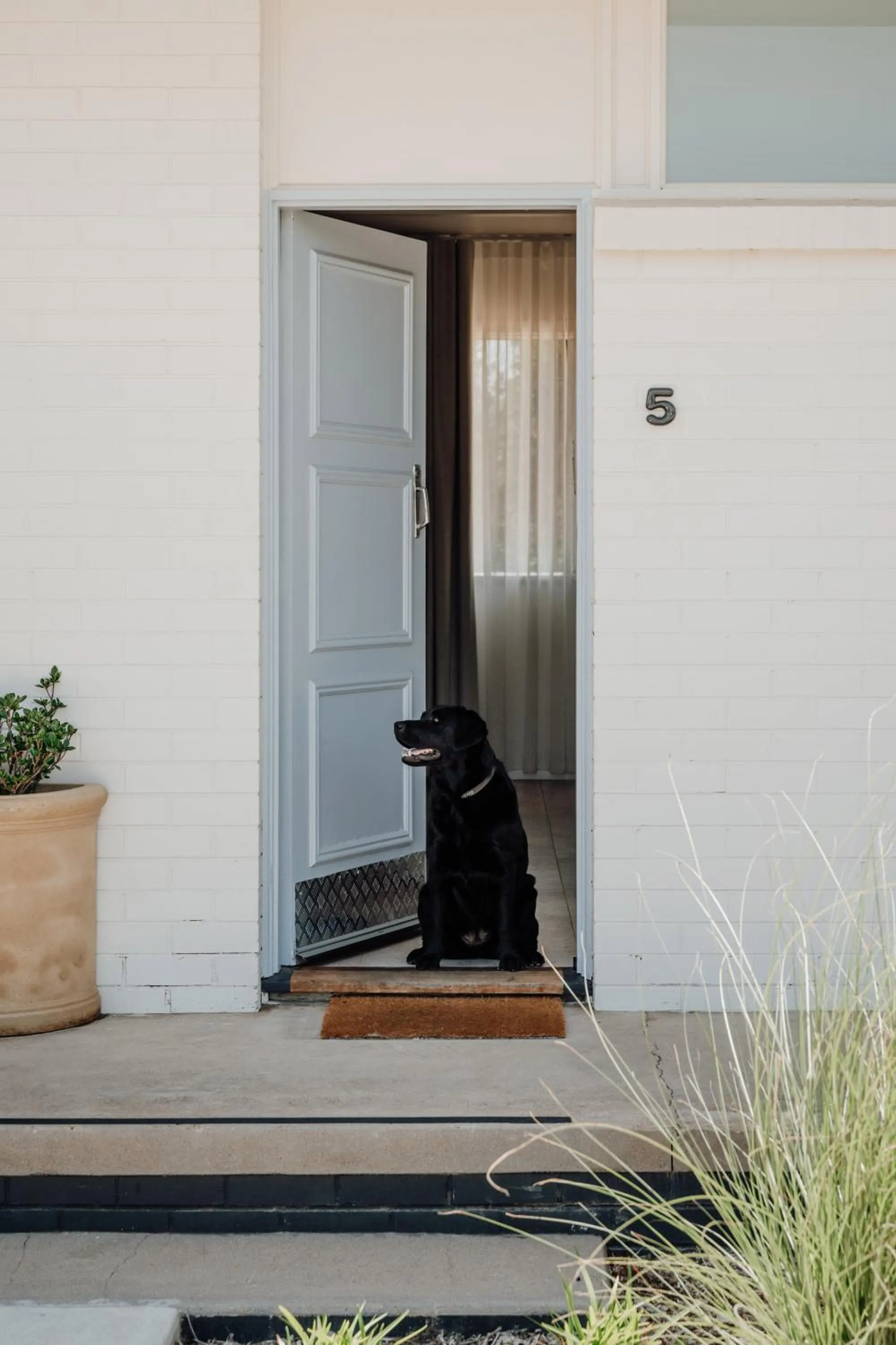 Pets in The Cudgee at Mudgee