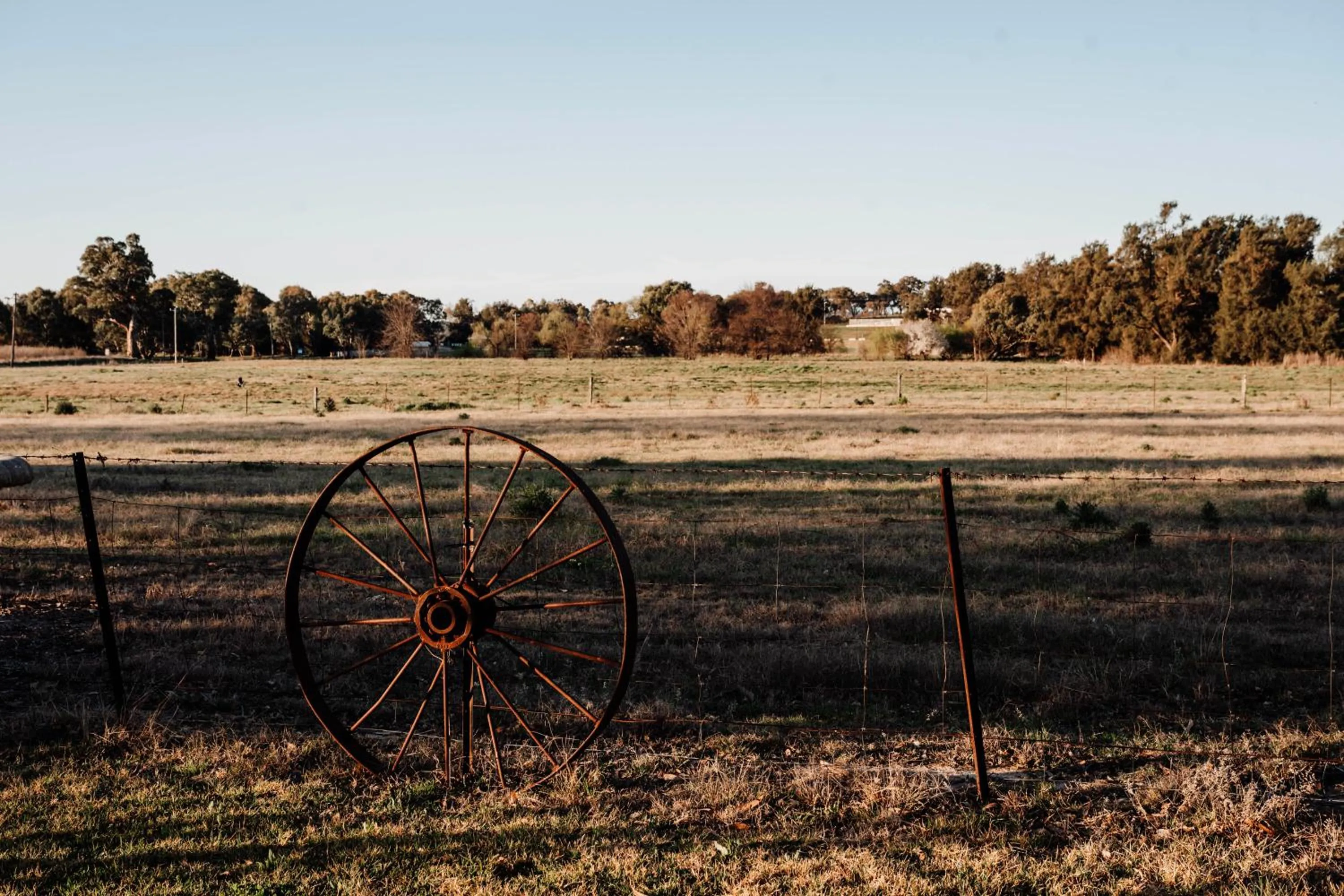 Garden in The Cudgee at Mudgee