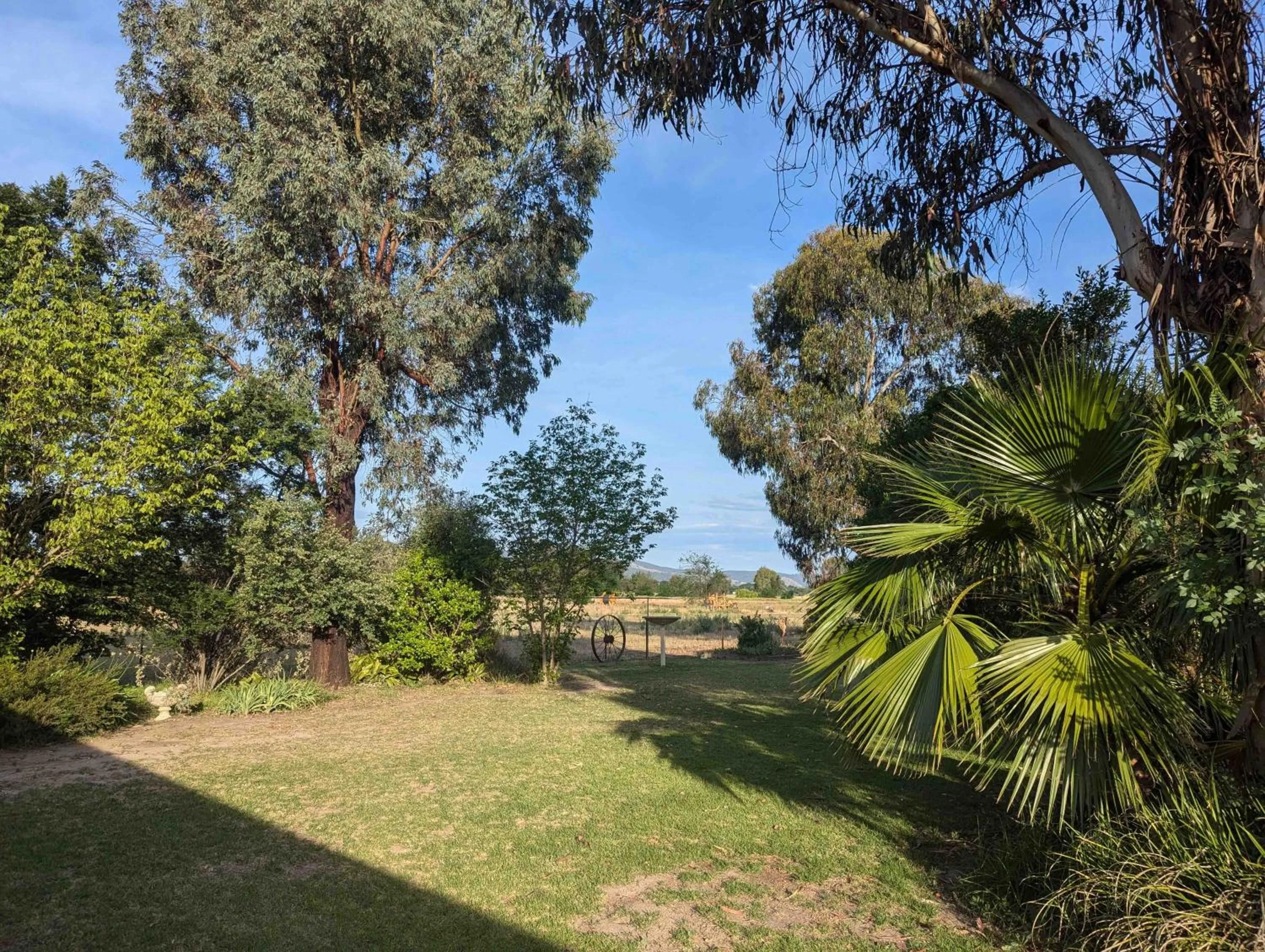 Garden in The Cudgee at Mudgee