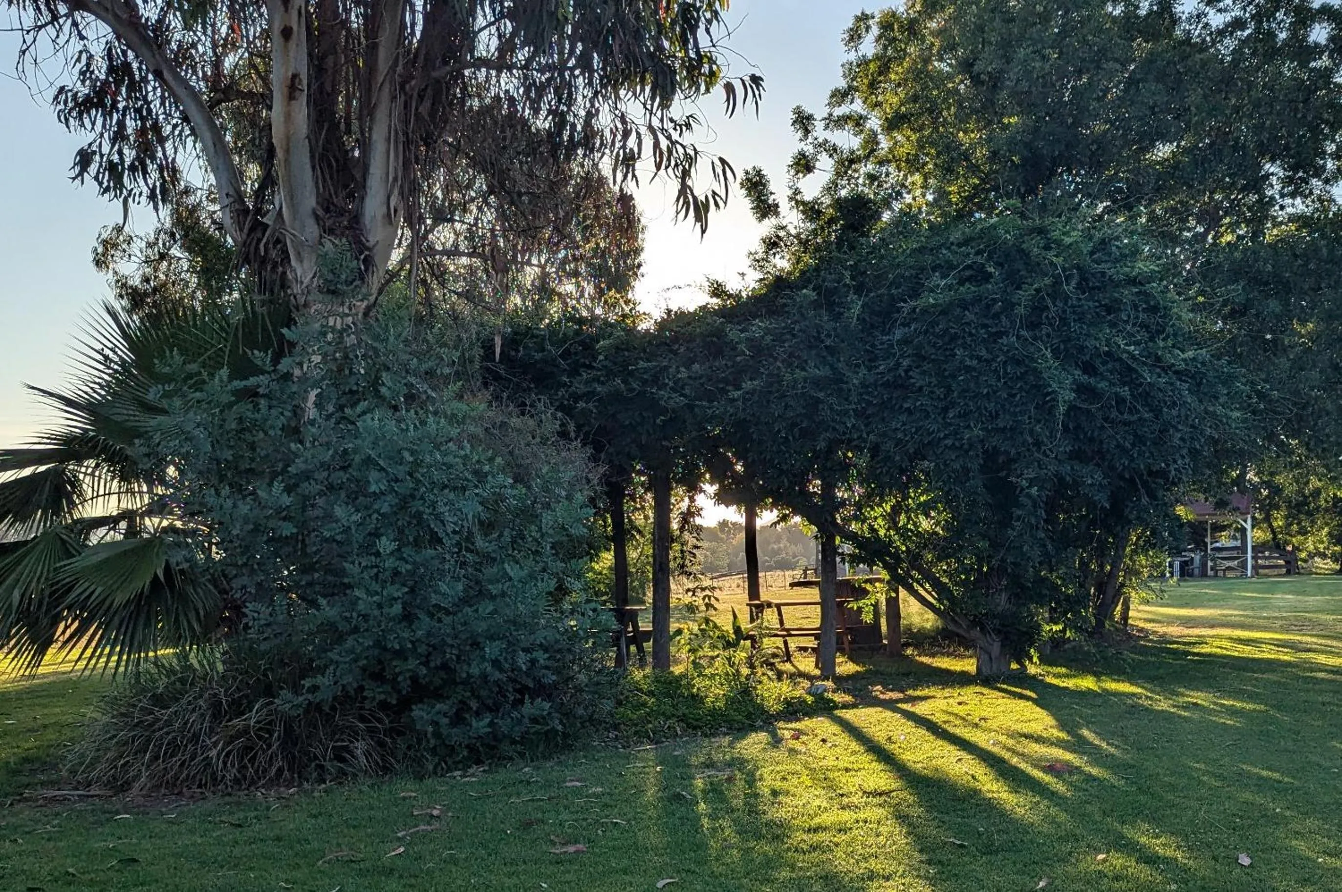 Garden in The Cudgee at Mudgee