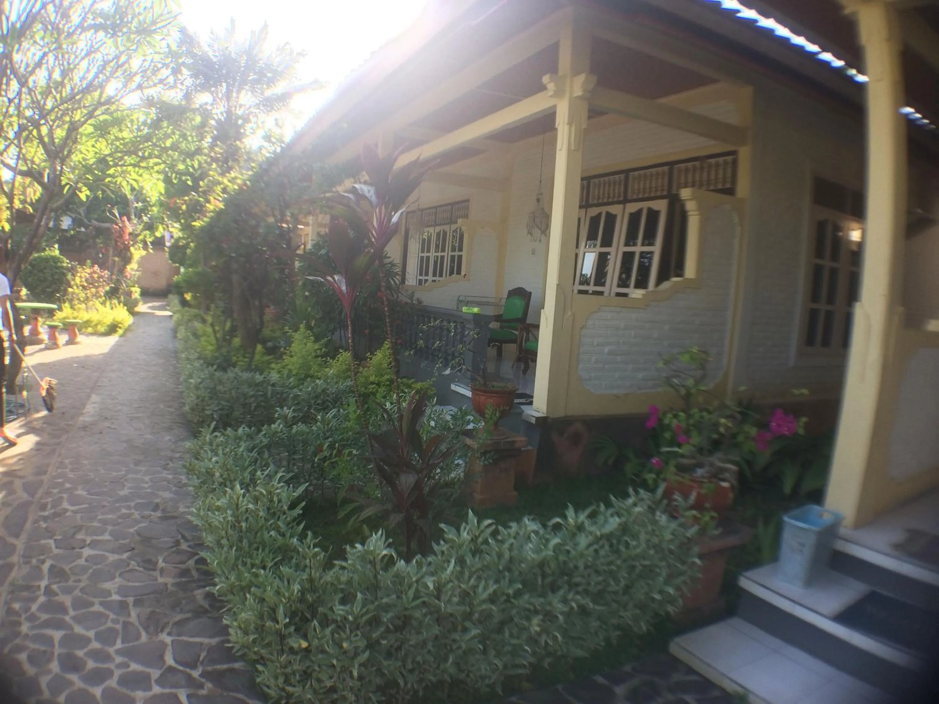 Balcony/Terrace in Taman Lily's Hotel