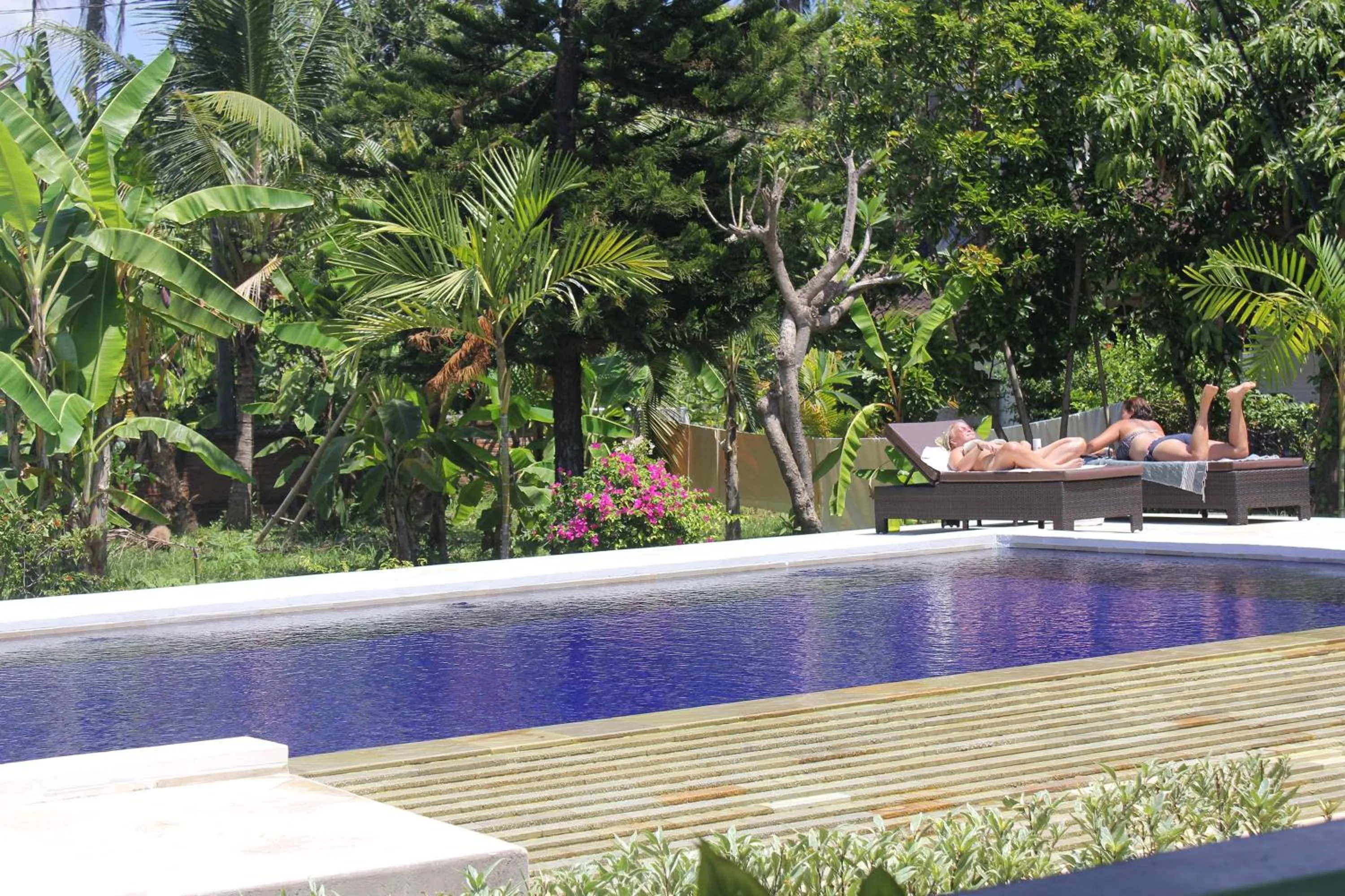Swimming pool in Taman Lily's Hotel