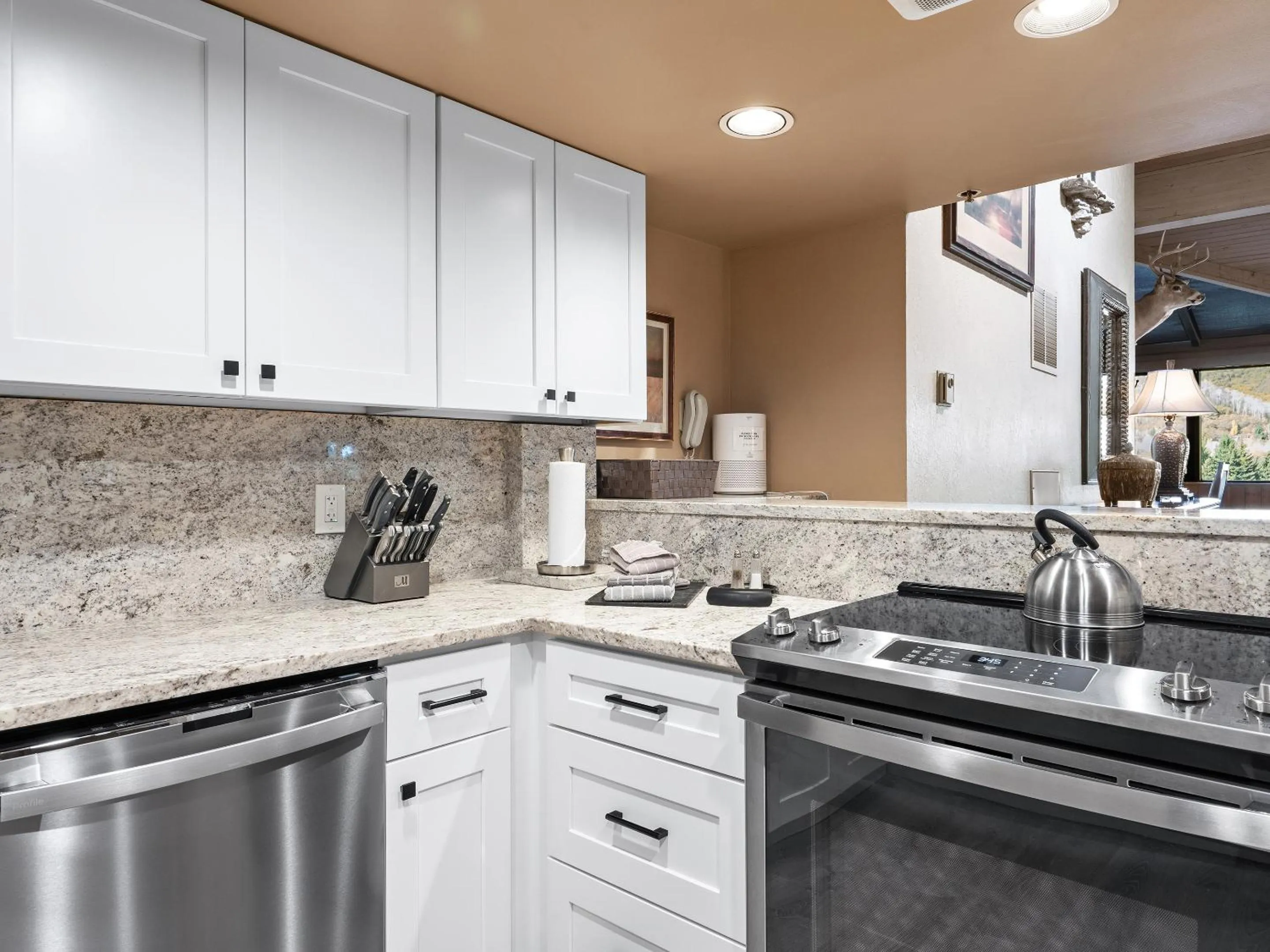 Kitchen or kitchenette in Silver King by All Seasons Resort Lodging