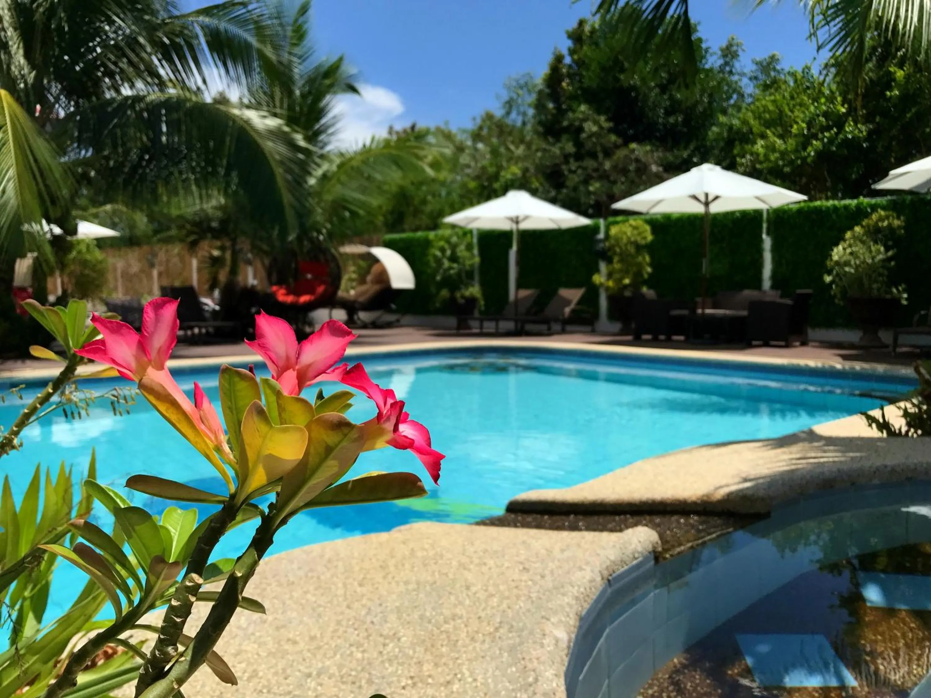 Garden in Nora's Place