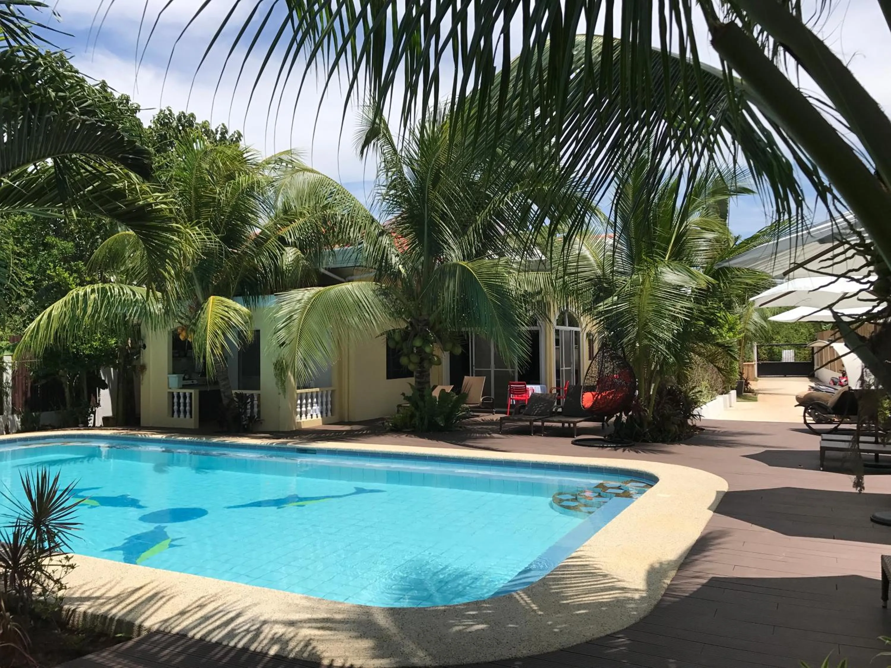 Swimming pool in Nora's Place