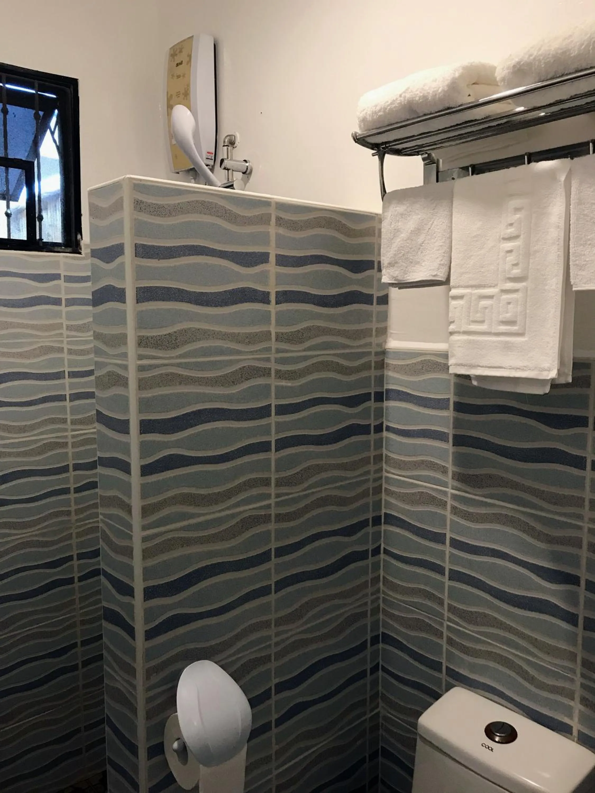 Shower in Nora's Place