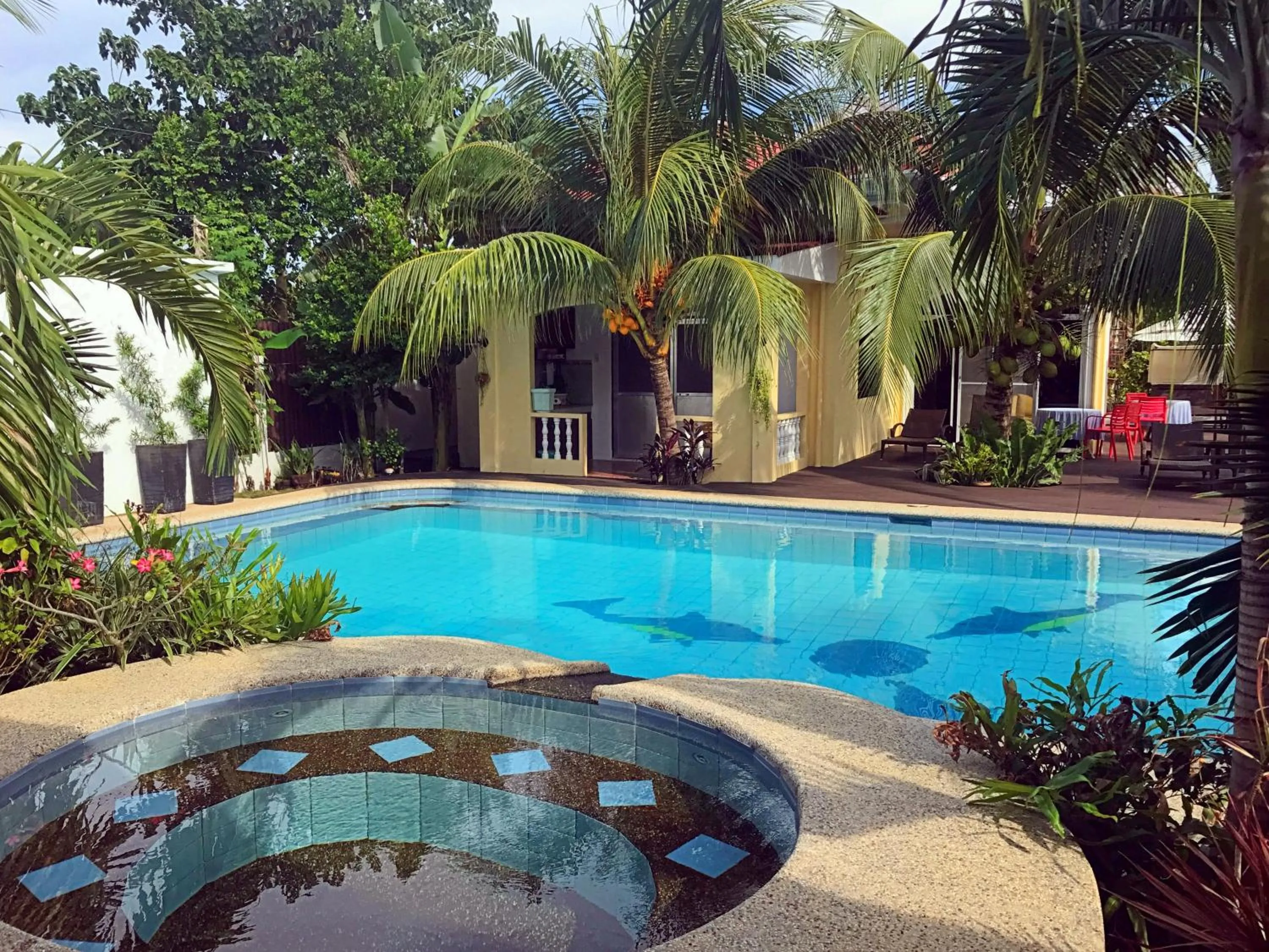 Pool view in Nora's Place