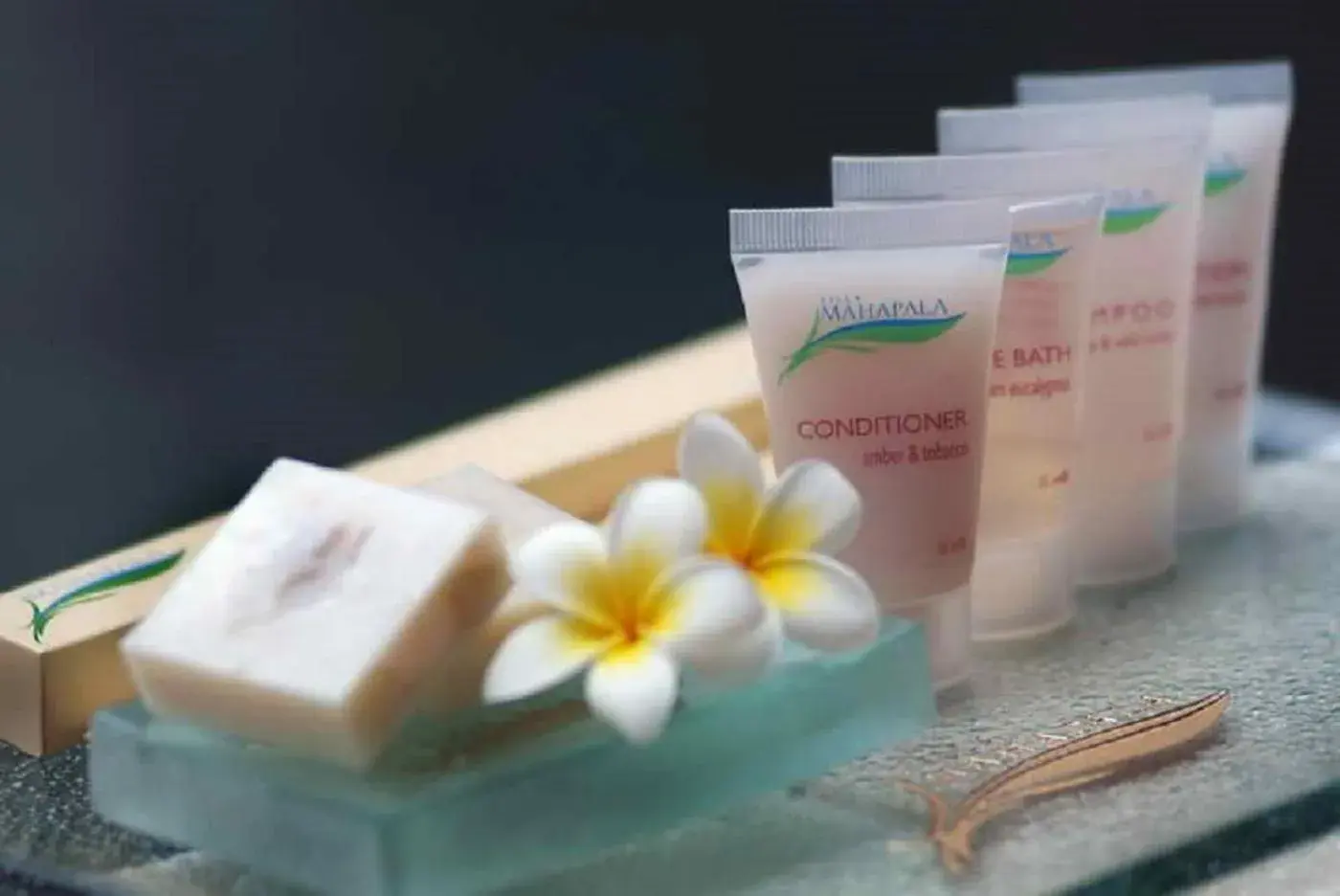 Spa and wellness centre/facilities in Villa Mahapala Spa and wellness centre/facilities in Villa Mahapala