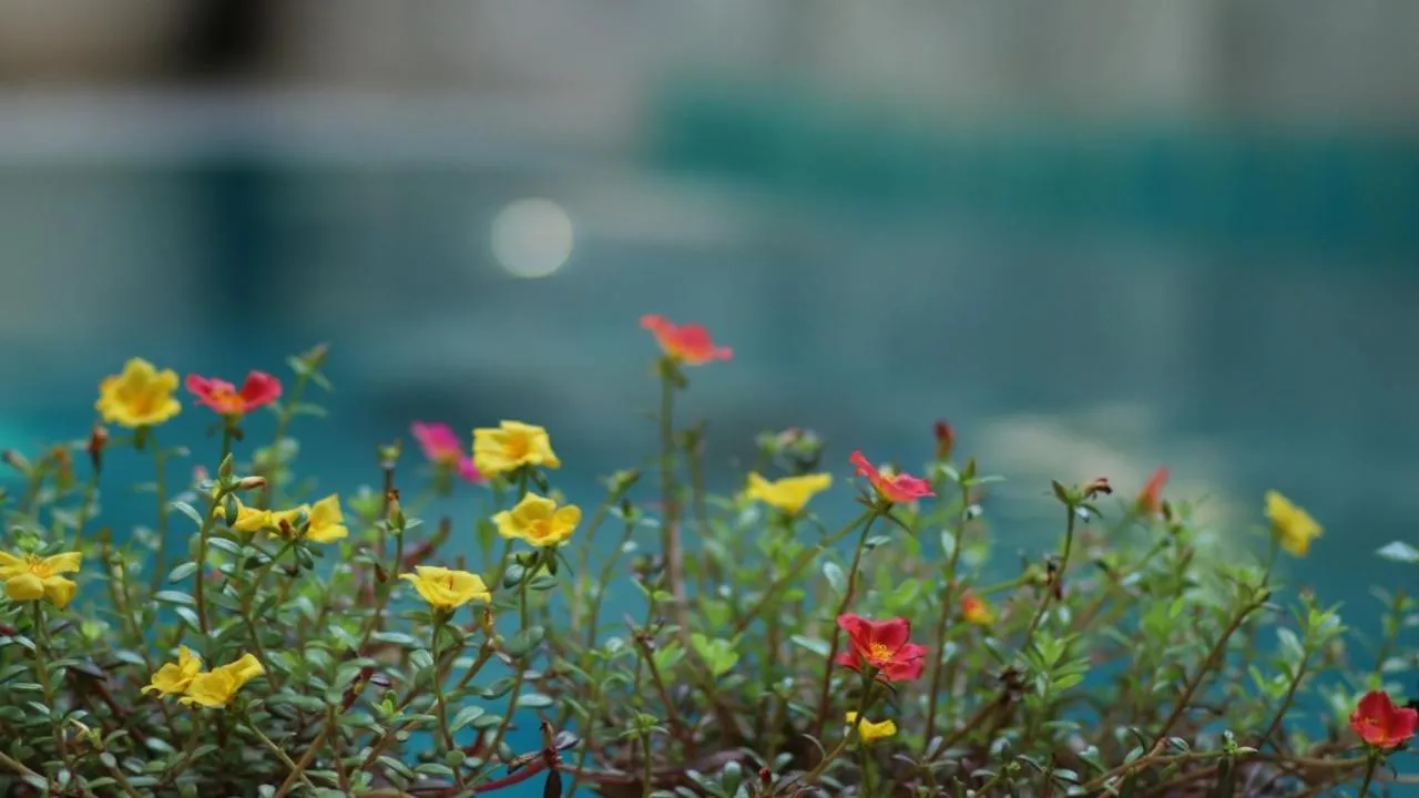 Long Life Riverside Hotel