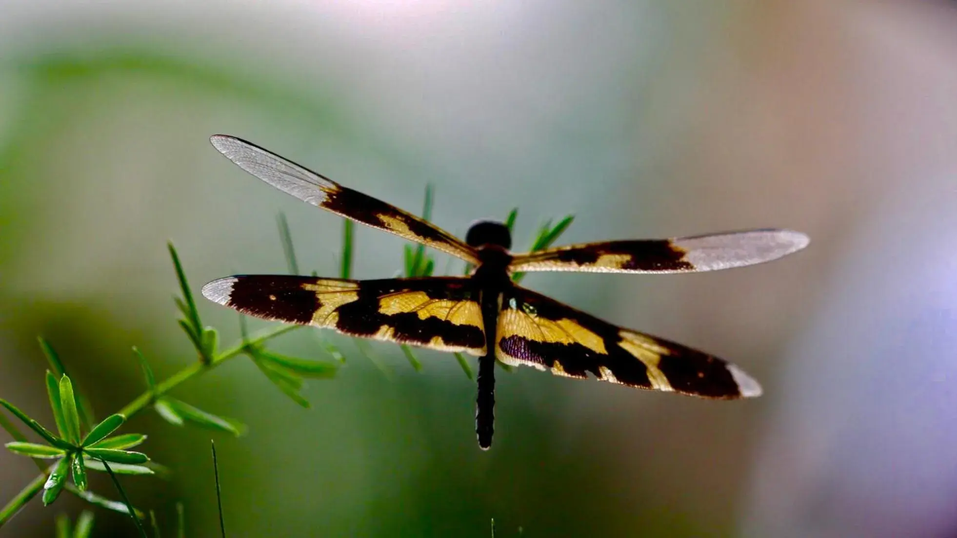 Long Life Riverside Hotel Long Life Riverside Hotel