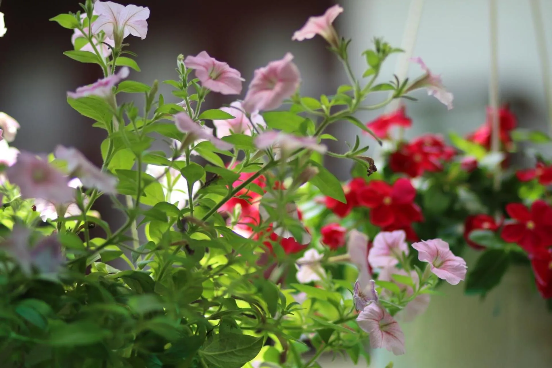 Long Life Riverside Hotel