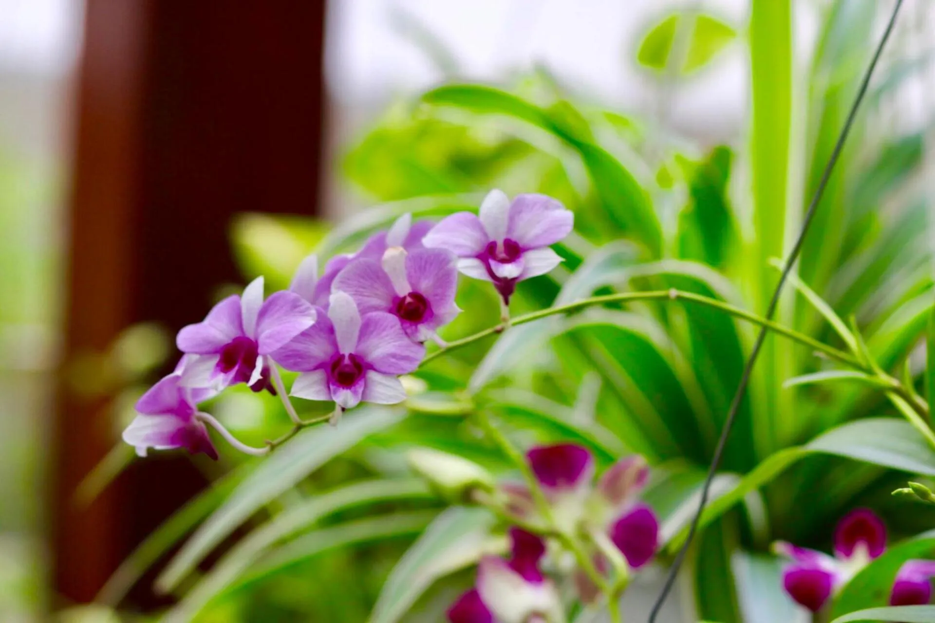 Long Life Riverside Hotel