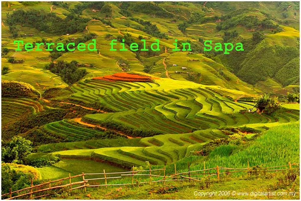 Activities in Hanoi Amorita Boutique Hotel & Travel