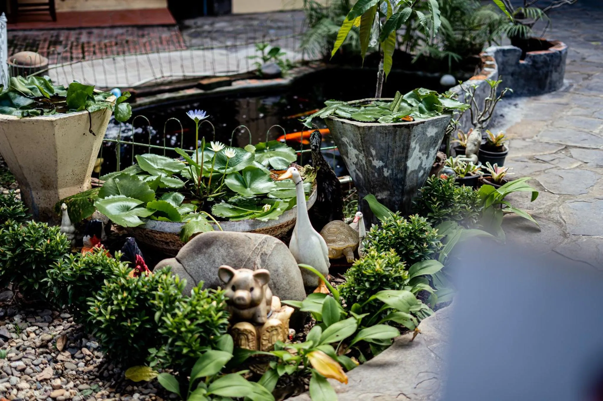 Garden in Villa Khoum Xieng Thong Boutique